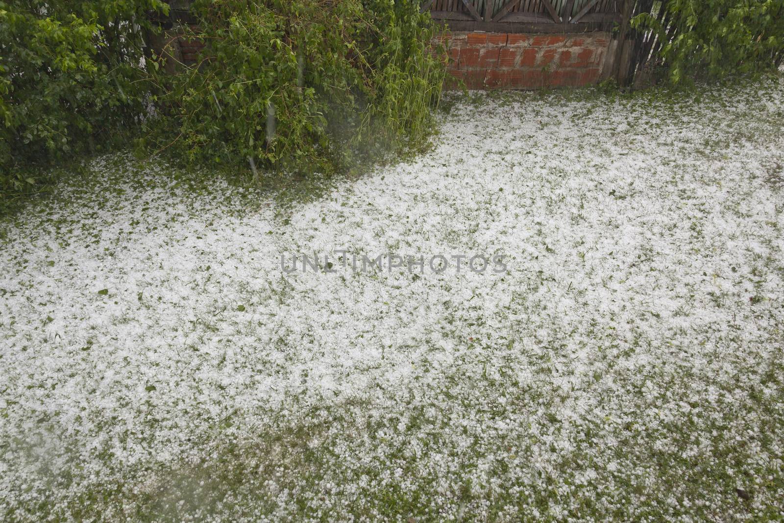 Hail - Weather Storm Disaster