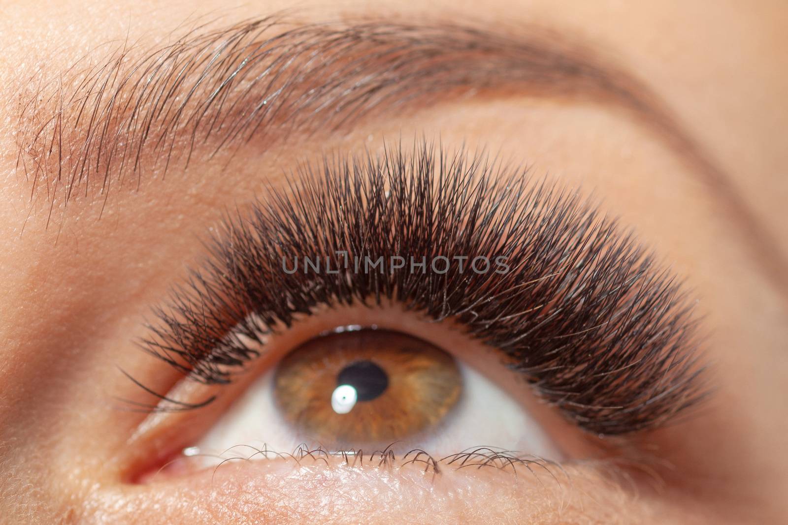 Woman Open Eye with Long Eyelashes. Eyelash Extension. Beautiful by adamr