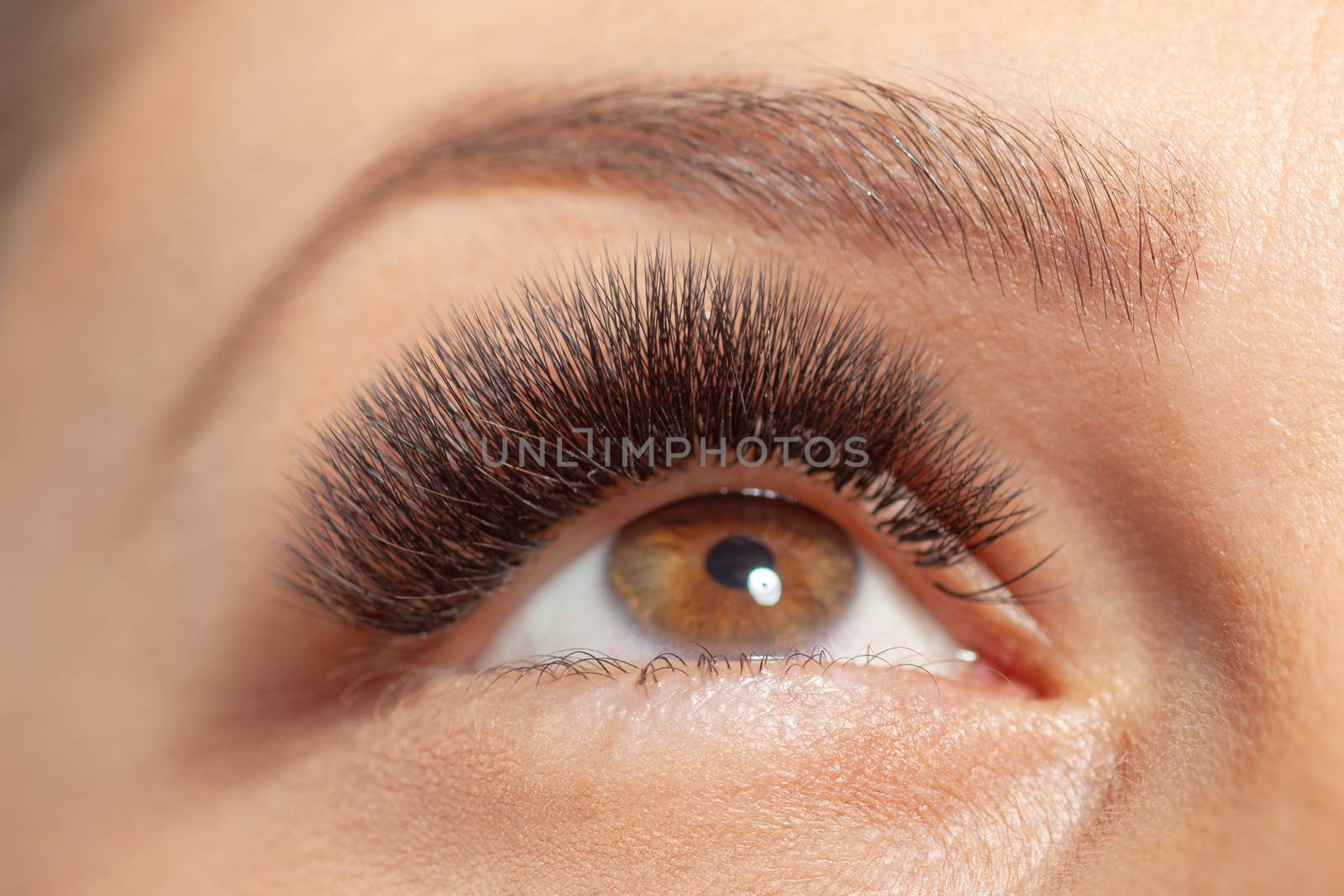 Treatment of Eyelash Extension. Lashes. Woman Eyes with Long Eyelashes.