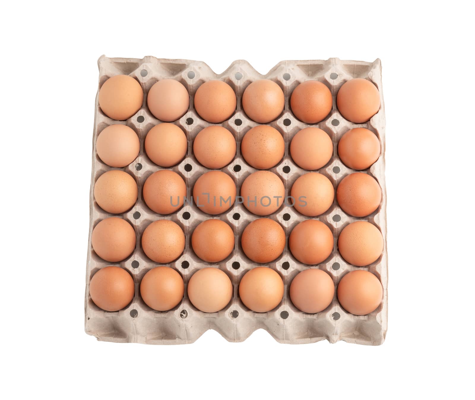 Top view chicken eggs in the carton isolated on the white background with clipping paths