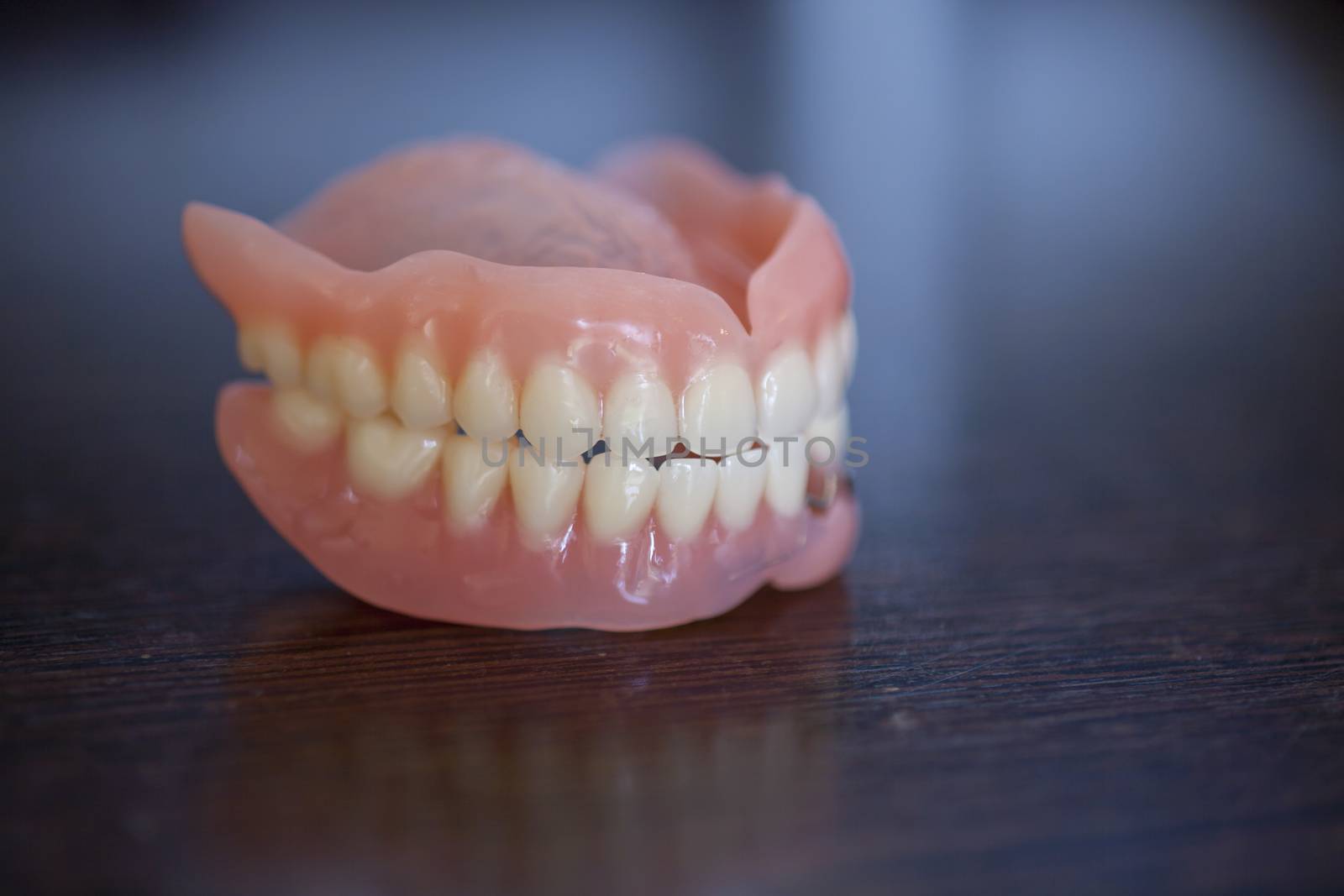 Medical denture on table  by adamr