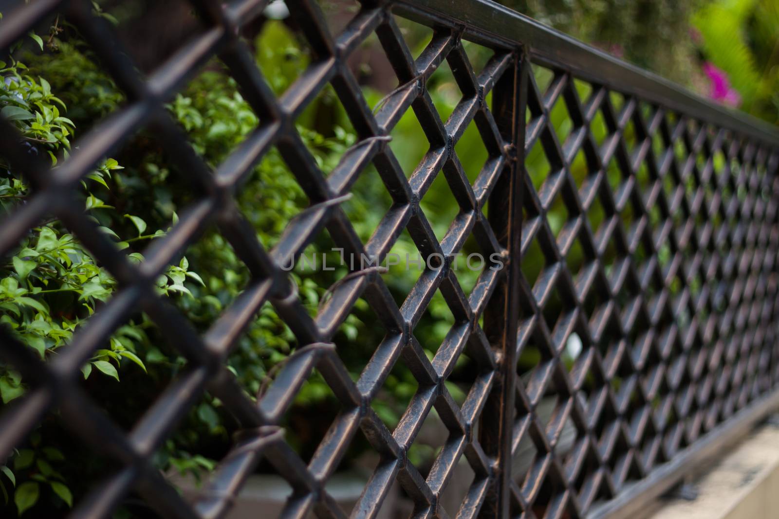 Aluminum Fence in private zone, stock photo