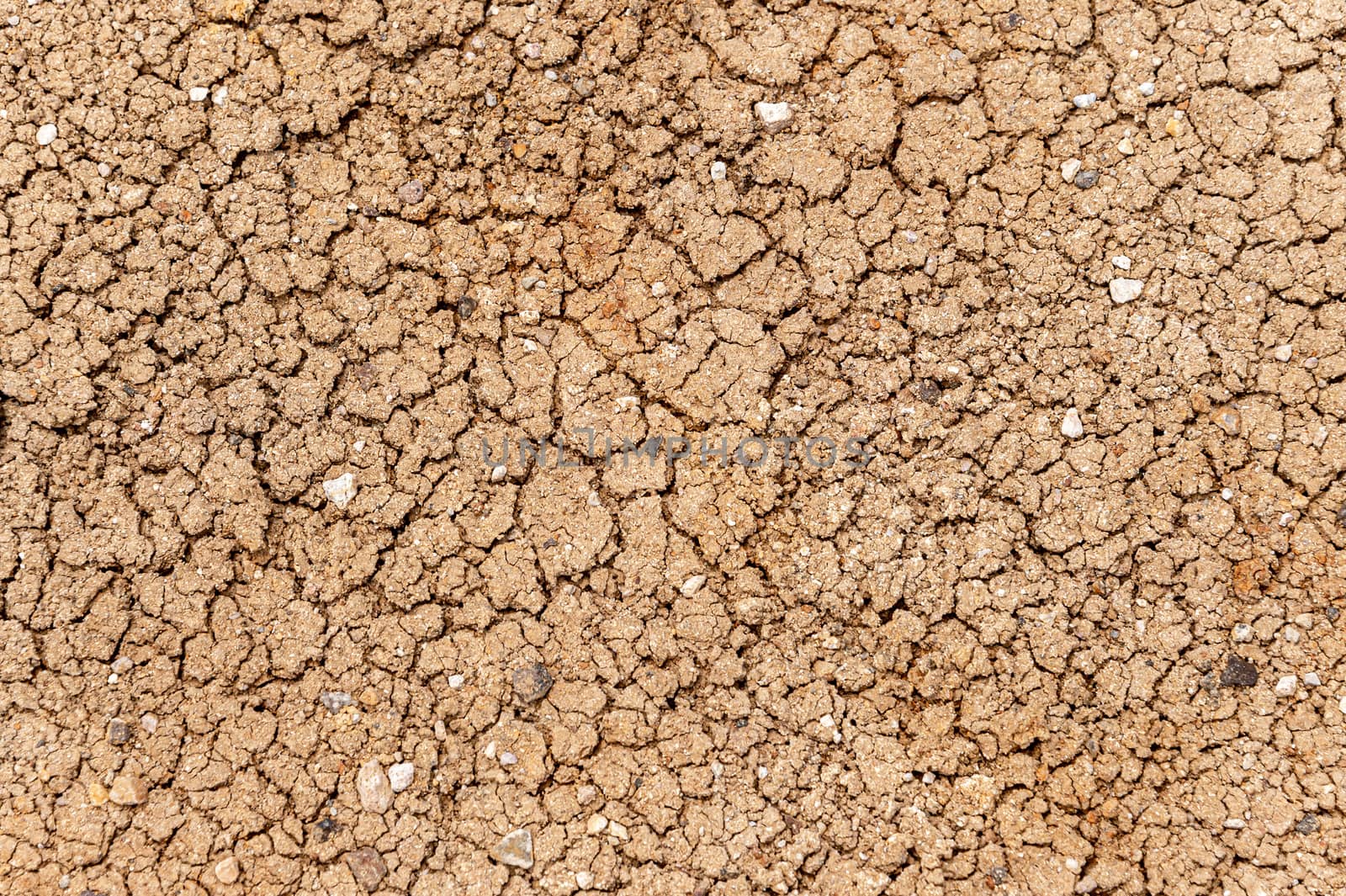 dry ground with cracks by mbruxelle