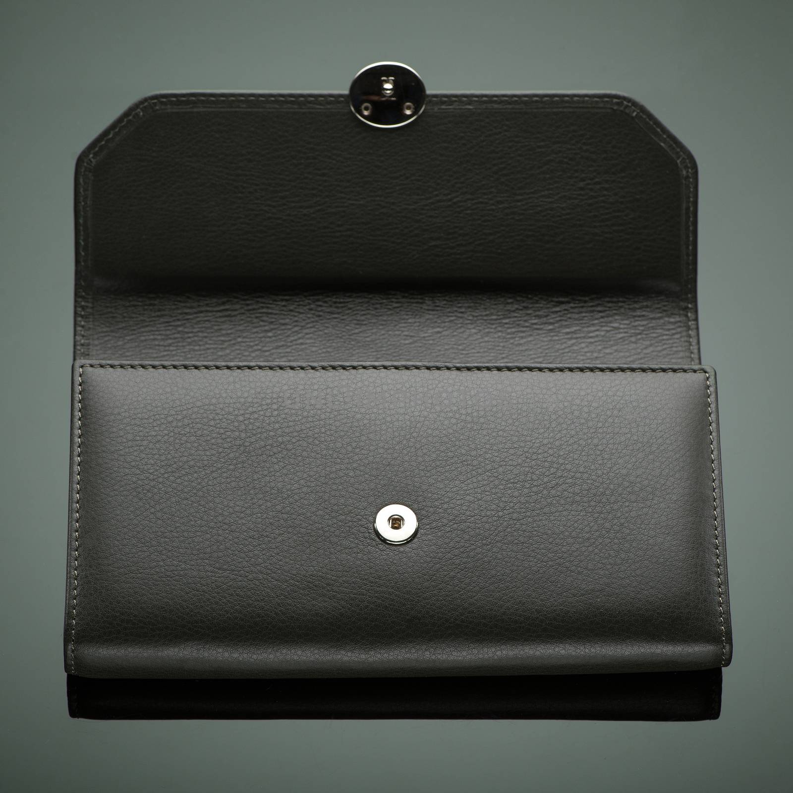 Fashionable designer wallet on a green background