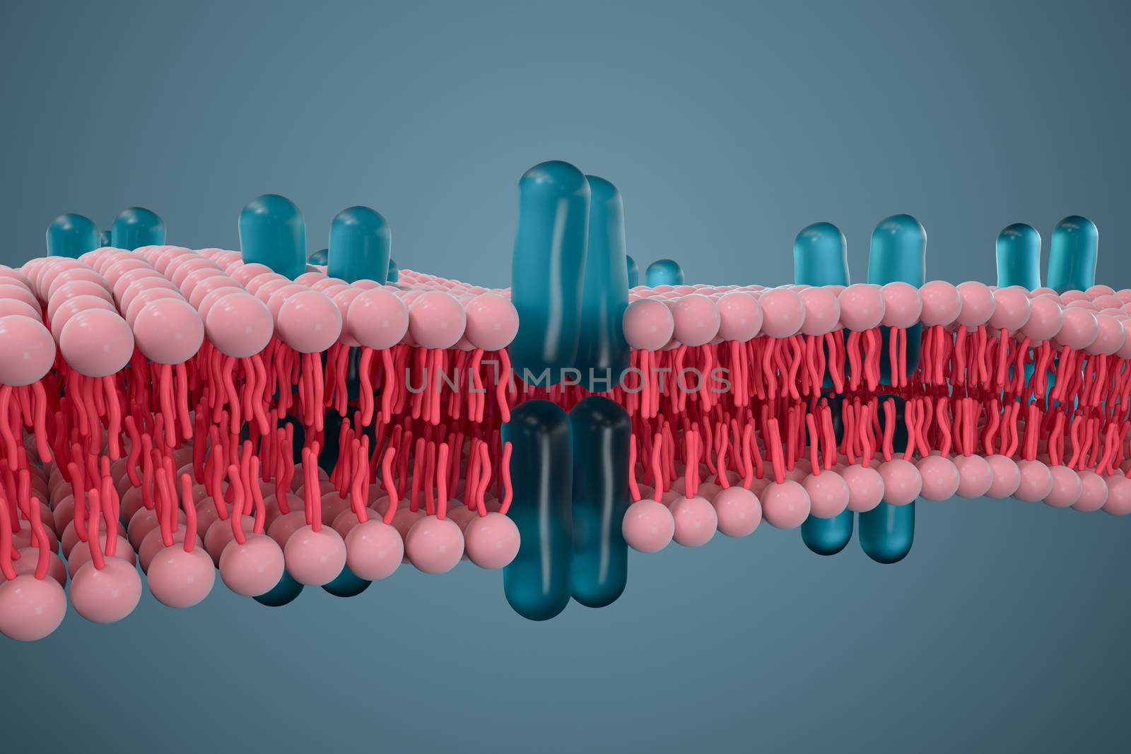 Cell membrane and biology, biological concept, 3d rendering. by vinkfan