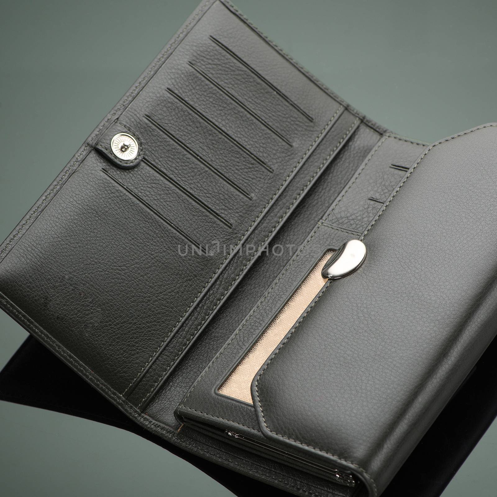 wallet on a green background by A_Karim