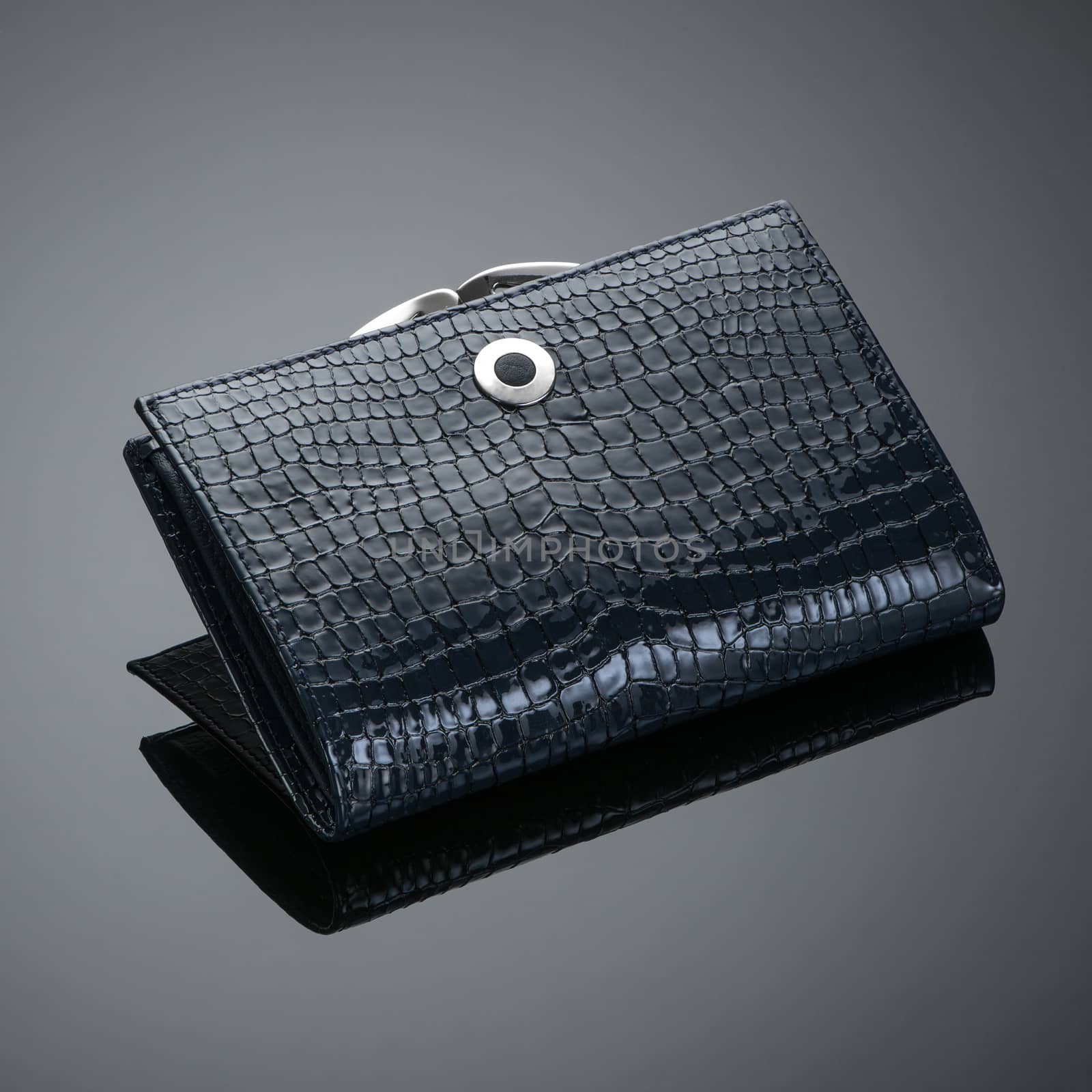 Fashionable leather women's wallet on a dark background