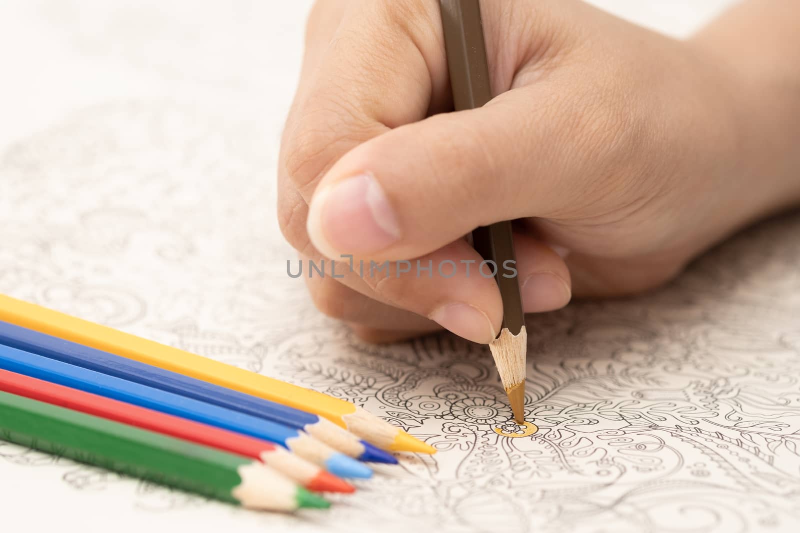 Female hand with colorful pencil is painting on doodle book.