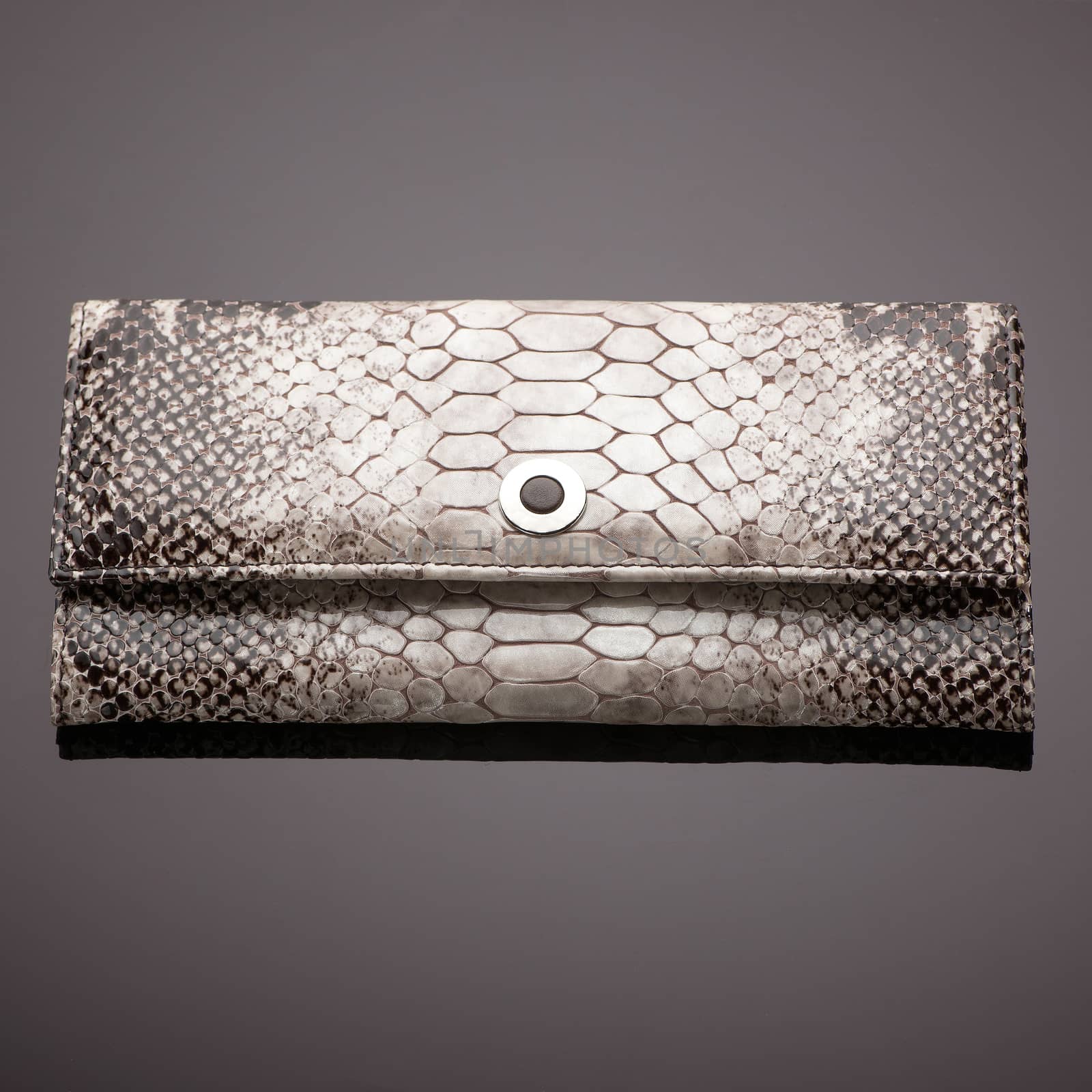 Fashionable women's wallet made of crocodile skin on a brown background