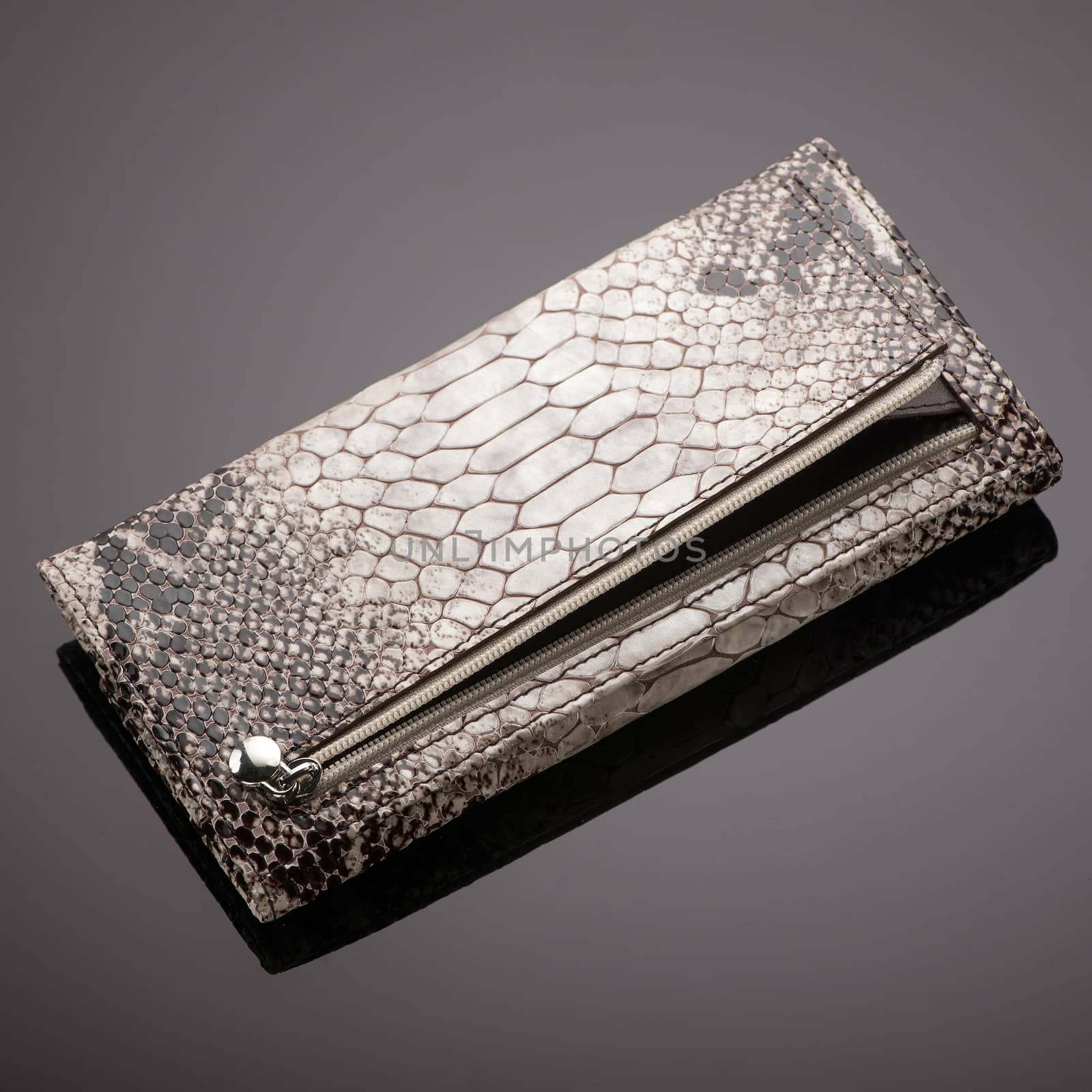 Fashionable women's wallet made of crocodile skin on a brown background
