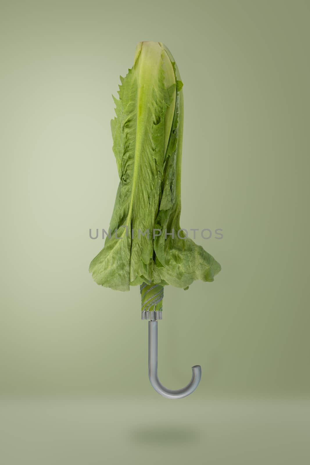 Contemporary art-Green umbrella from vegetable on green background with copy space, Minimal idea style.