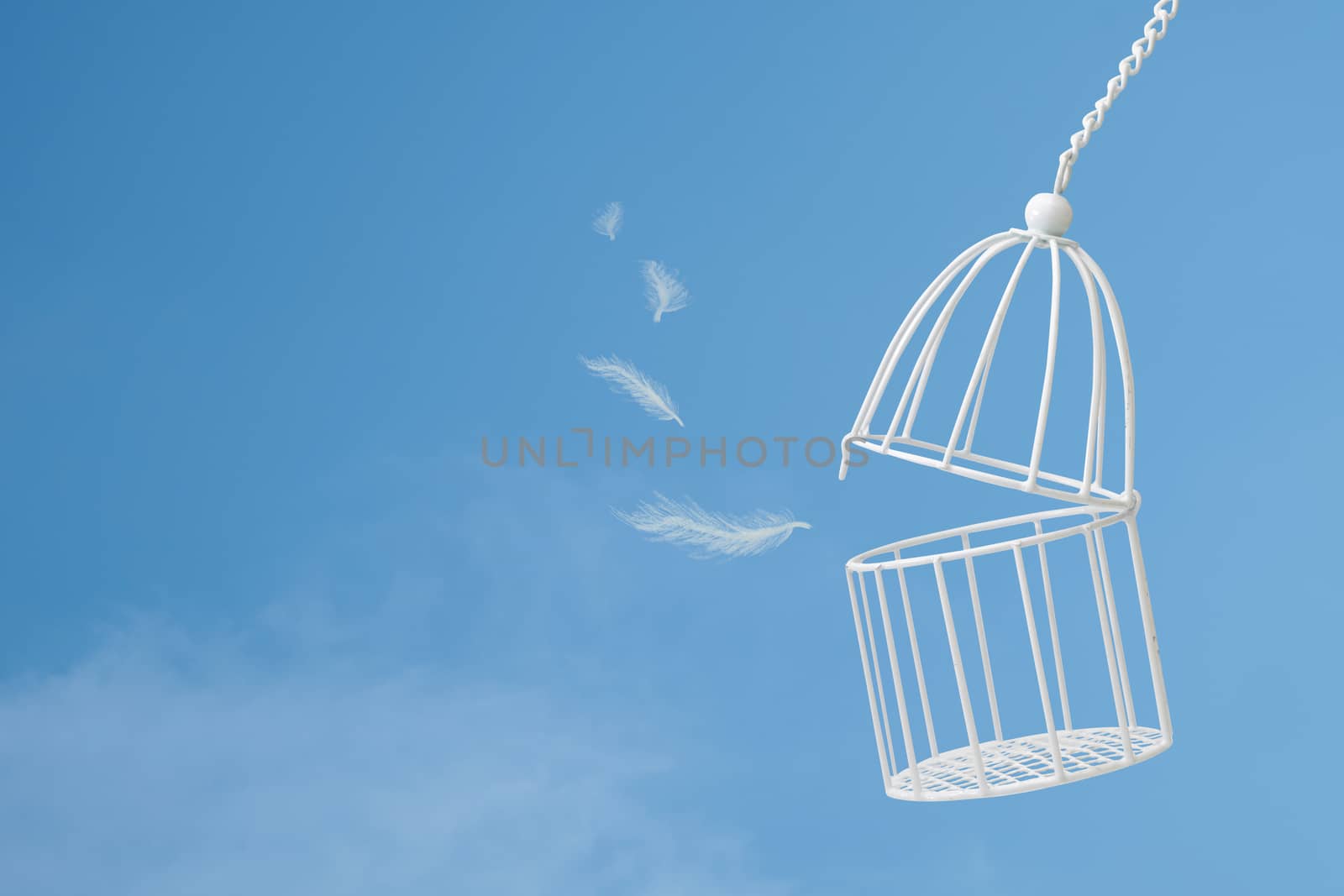 White feathers floating outside bird cage on  blue sky with cloud background, idea concept of freedom.