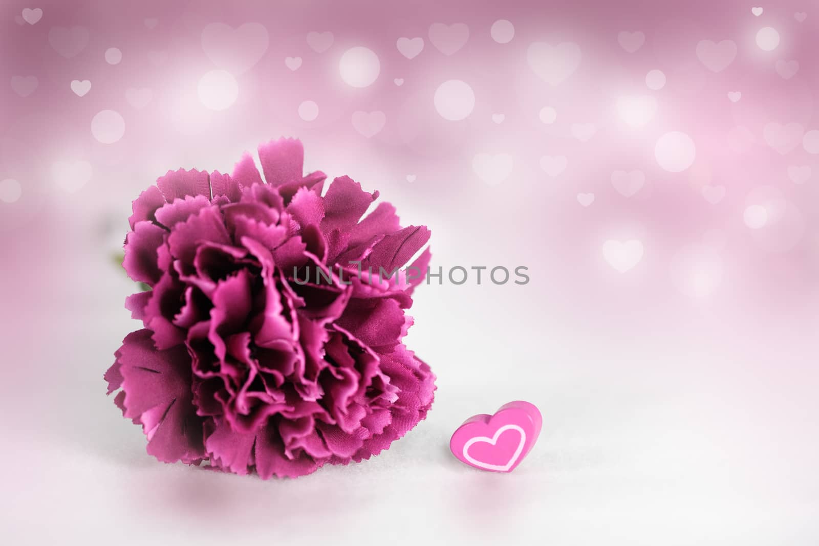 The pink carnation on abstract bokeh background in love concept for valentines day with romantic moment.