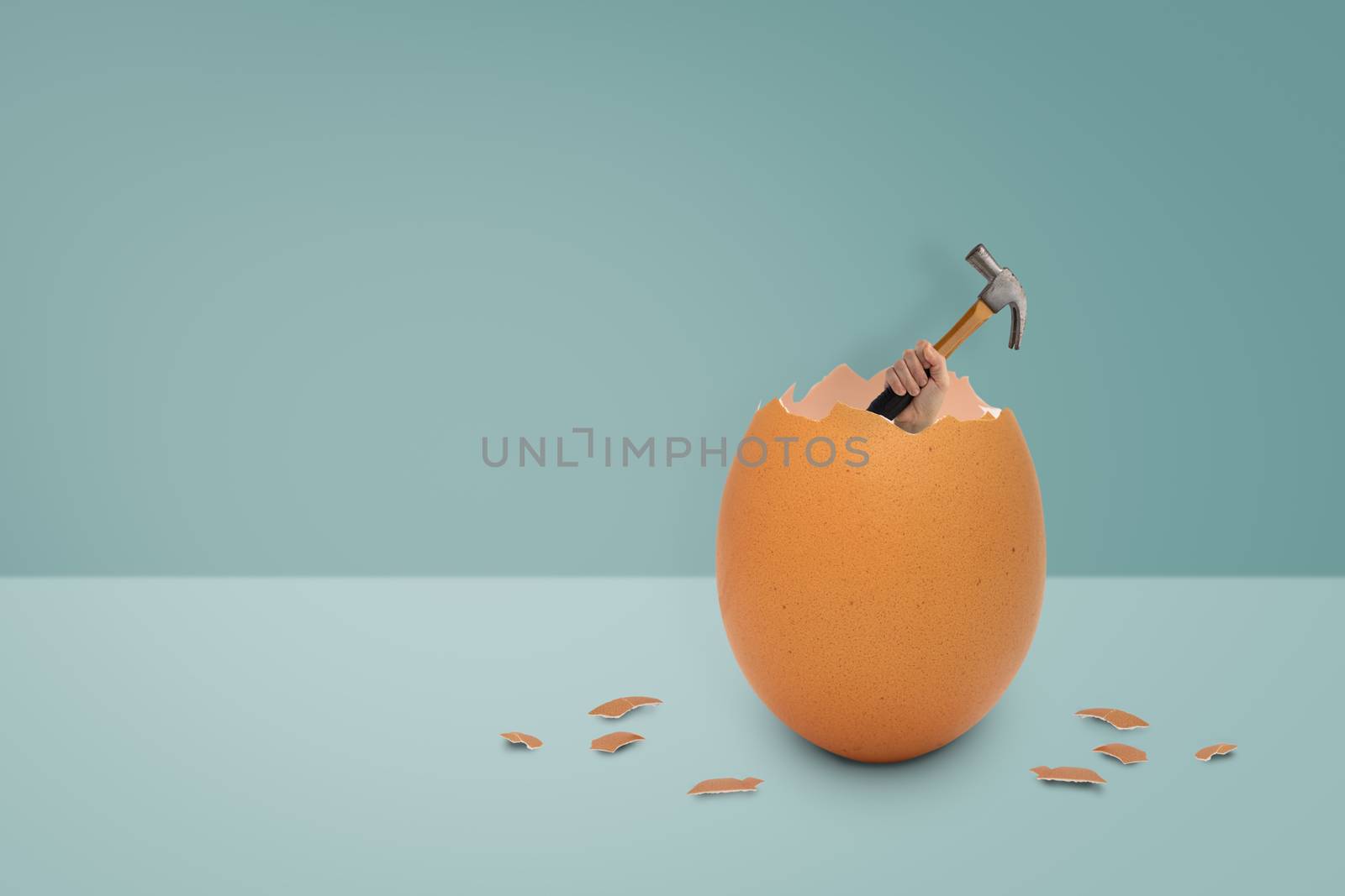 Holding the hammer out of the egg shell by feelartfeelant
