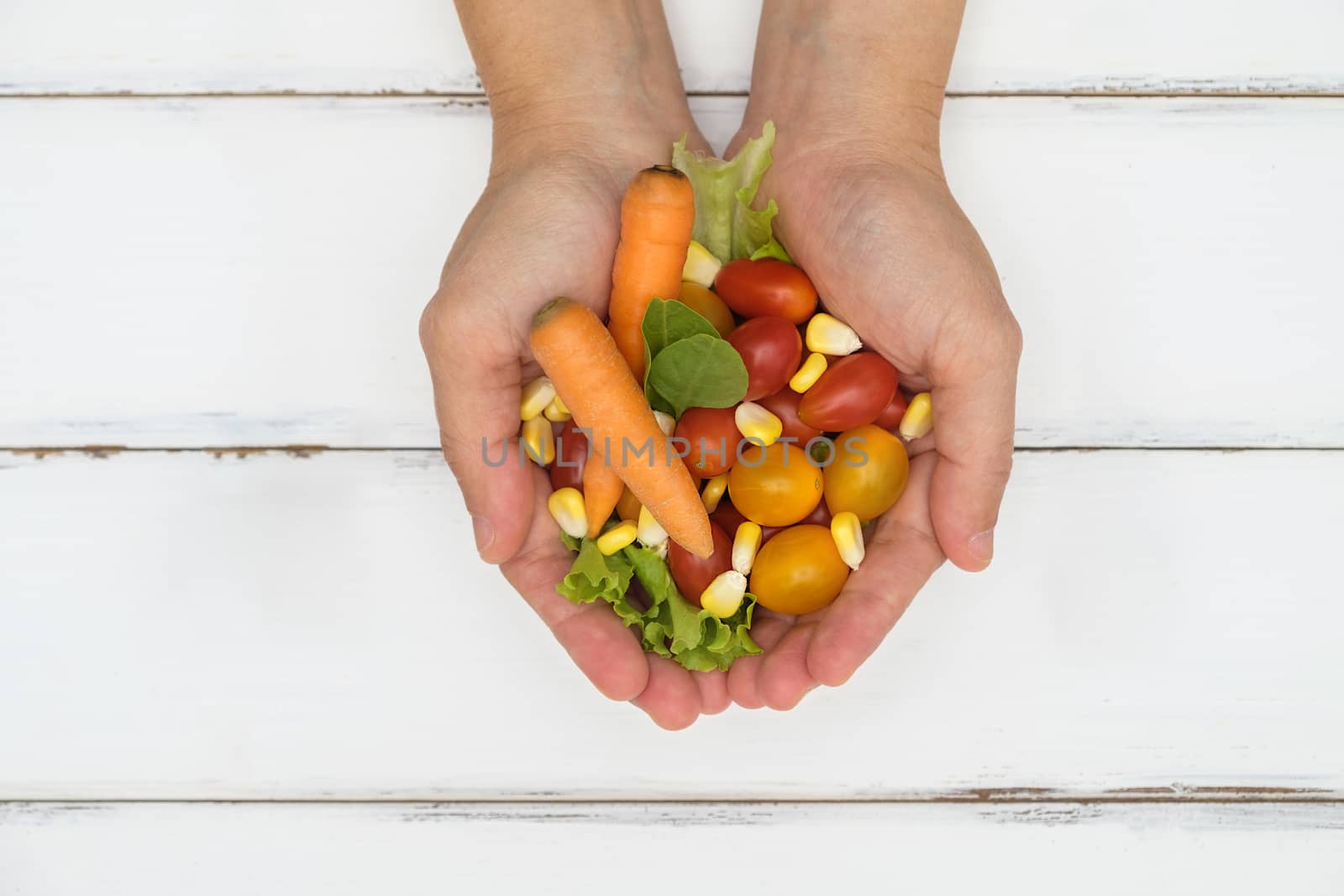 Woman holding many vegetable in hands on white wooden table.