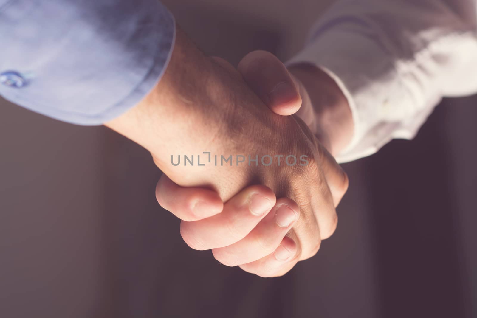 Handshaking of two business people. Partnership - Teamwork. Greeting, Form Of Communication. Light in scene come from down. 