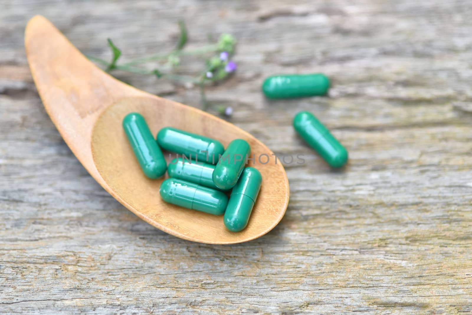 Herbal Medicines / Natural herb capsules Andrographis paniculata in spoon on wooden rustic background and copy space for using in medical background, healthy eating for good life. selective focus