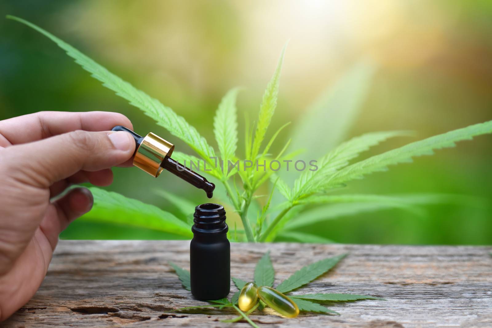 marijuana, Cannabis, Hemp oil bottle of CBD hemp. Green nature b by C_Aphirak