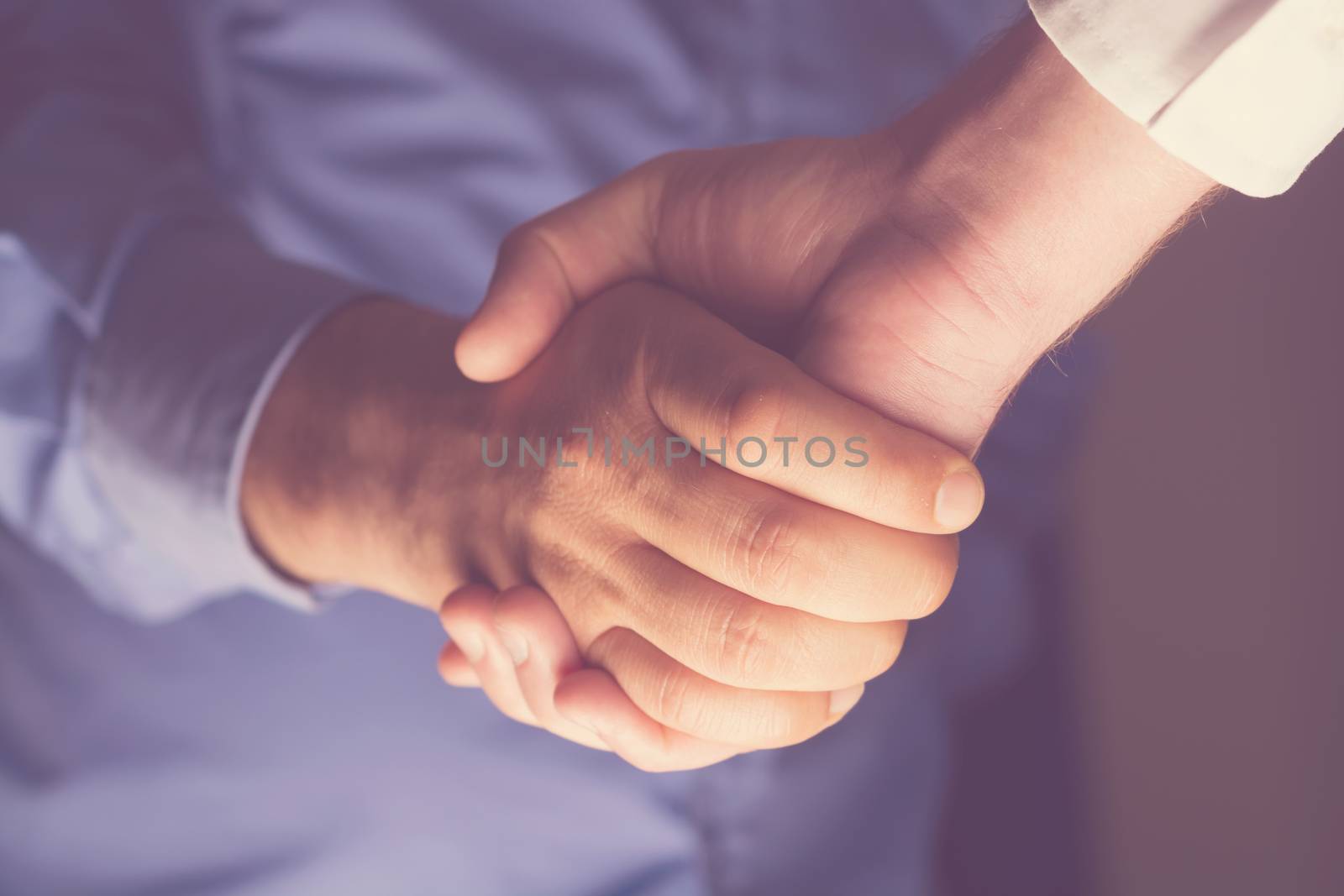 Handshaking of two business people. Partnership - Teamwork. Greeting, Form Of Communication. Light in scene come from down. 