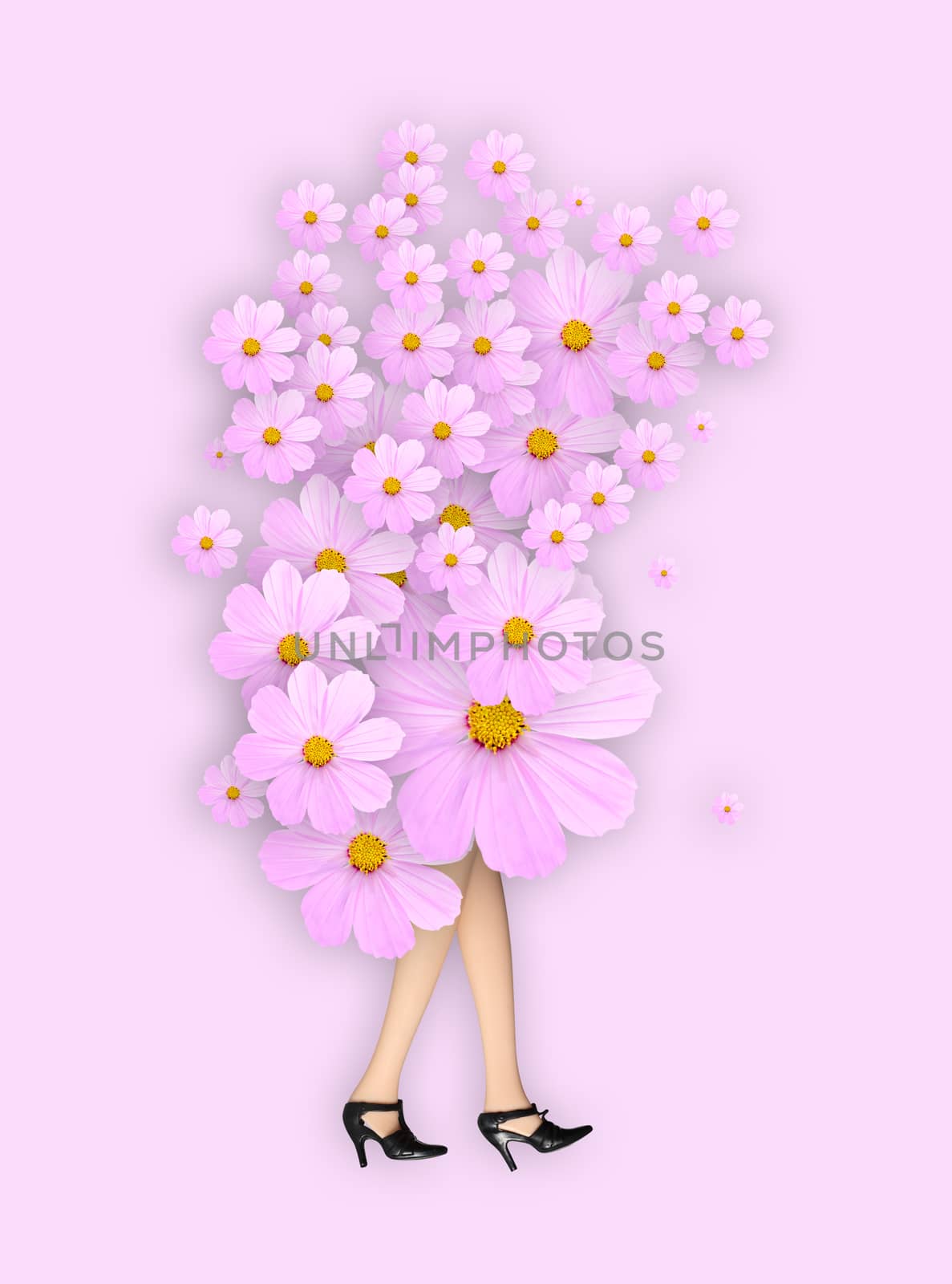 legs of girl doll with pink cosmos flowers, idea and concept picture.