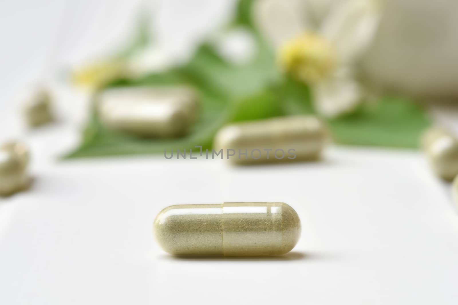 Herbal medicine in capsules from Houttuynia cordata or chameleon fish mint leaf  on white background. with copy space for medical background, healthy eating with natural product for good living