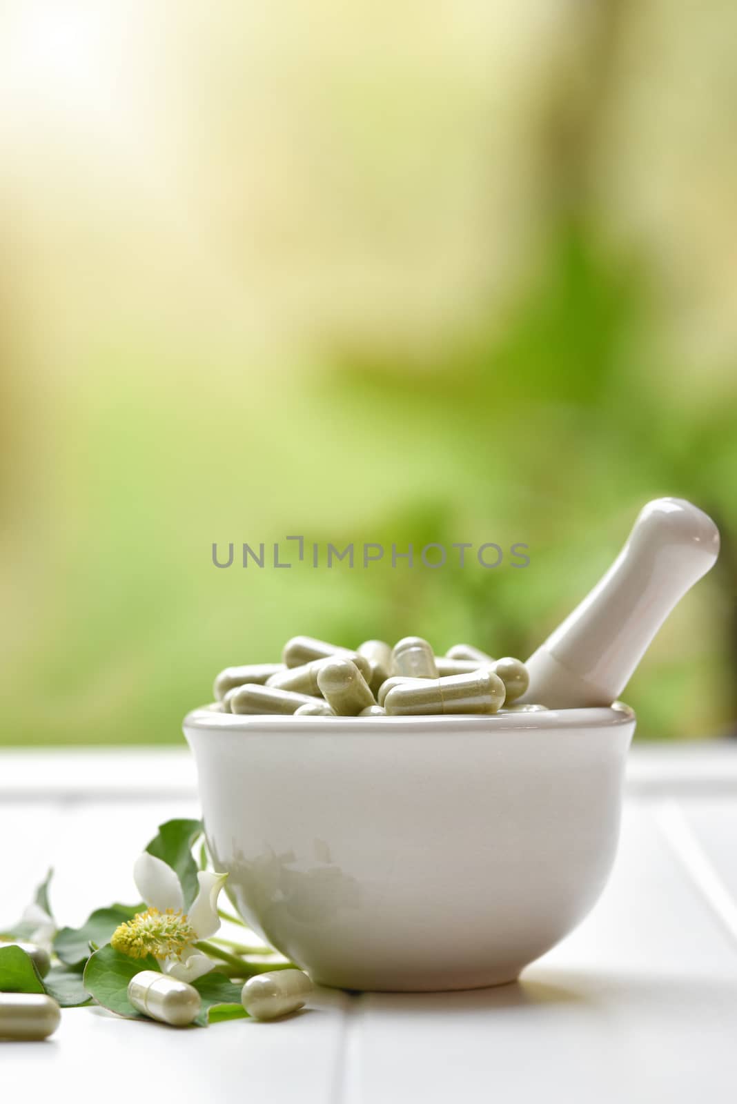 Herbal medicine in capsules from Houttuynia cordata or chameleon fish mint leaf  on white background. with copy space for medical background, healthy eating with natural product for good living