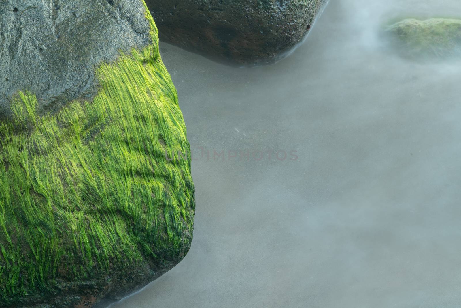 Macro detail shot of the green seaweed on rocks in the ocean as waves are smoothed by long duration exposure
