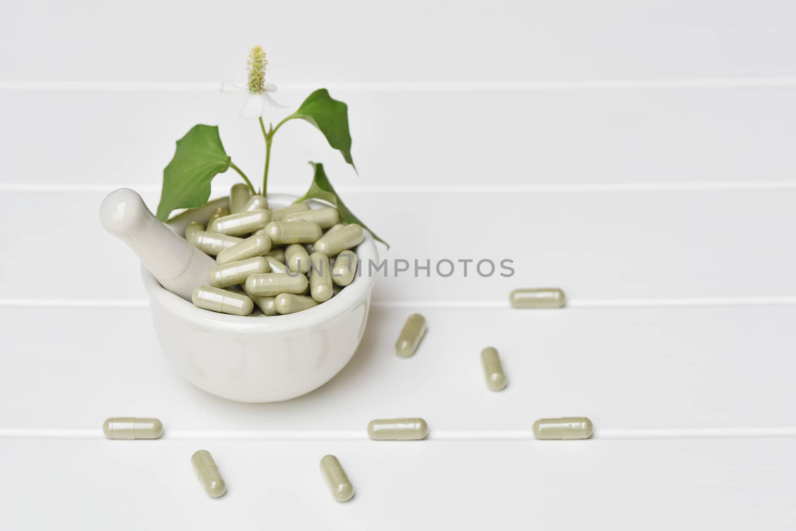 Herbal medicine in capsules from Houttuynia cordata or chameleon fish mint leaf  on white background. with copy space for medical background, healthy eating with natural product for good living