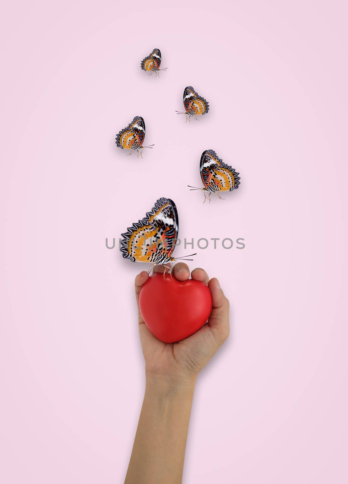 Creative layout of Hand holding a heart shaped ball wtth many butterflies flying around, Flat lay, Spring minimal and valentine concept.