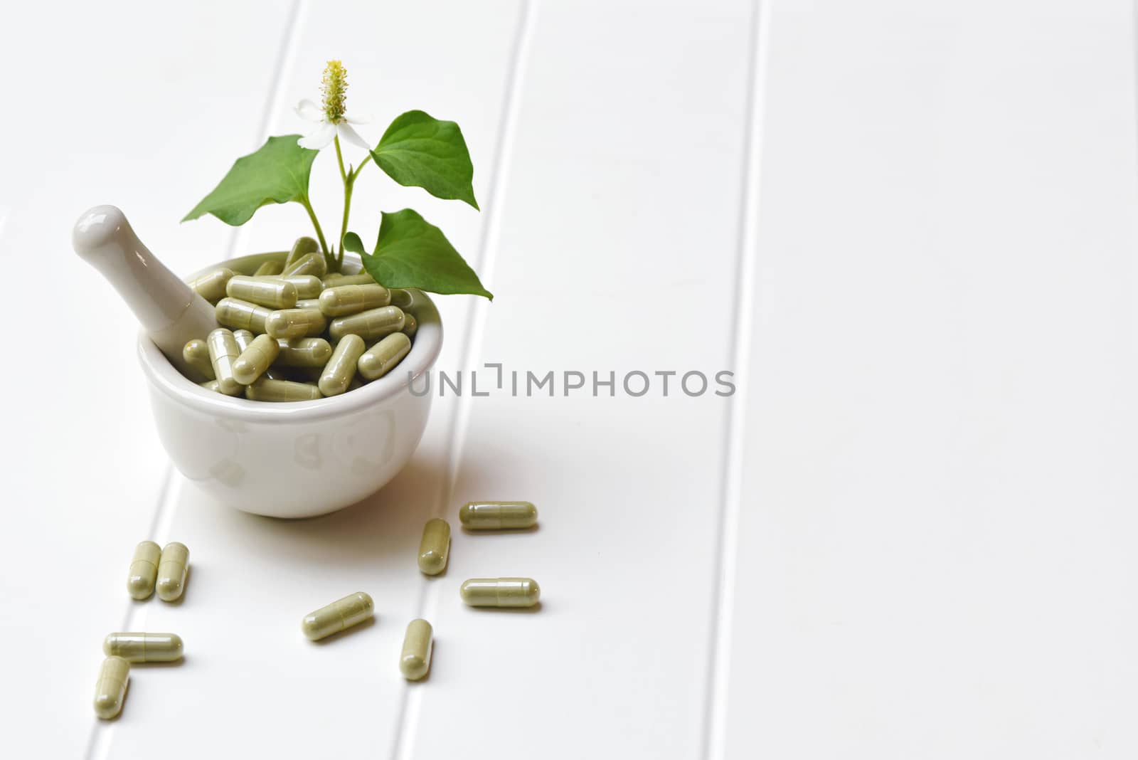 Herbal medicine in capsules from Houttuynia cordata or chameleon by C_Aphirak