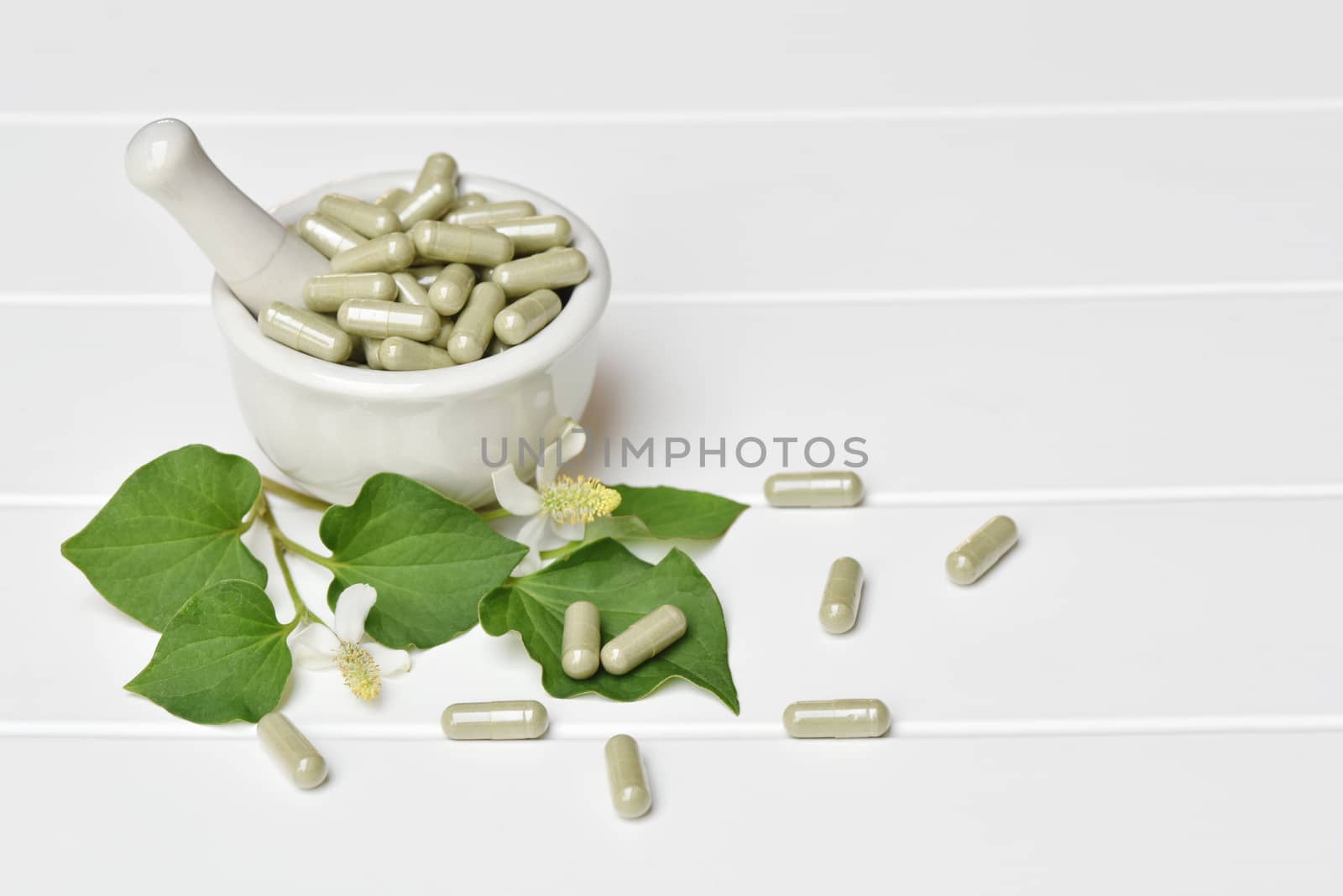 Herbal medicine in capsules from Houttuynia cordata or chameleon fish mint leaf  on white background. with copy space for medical background, healthy eating with natural product for good living