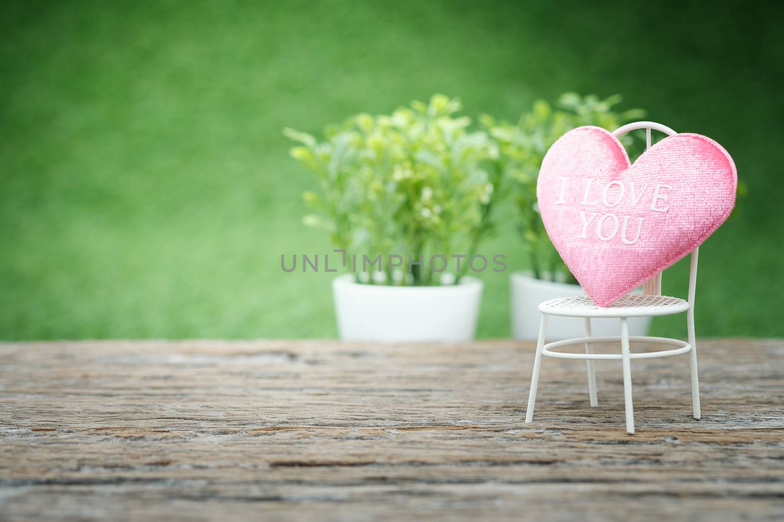 Pot plants and mini shape-heart on a wooden floor in green garden background for valentine day, AF point selection, with space for write, vintage tone.
