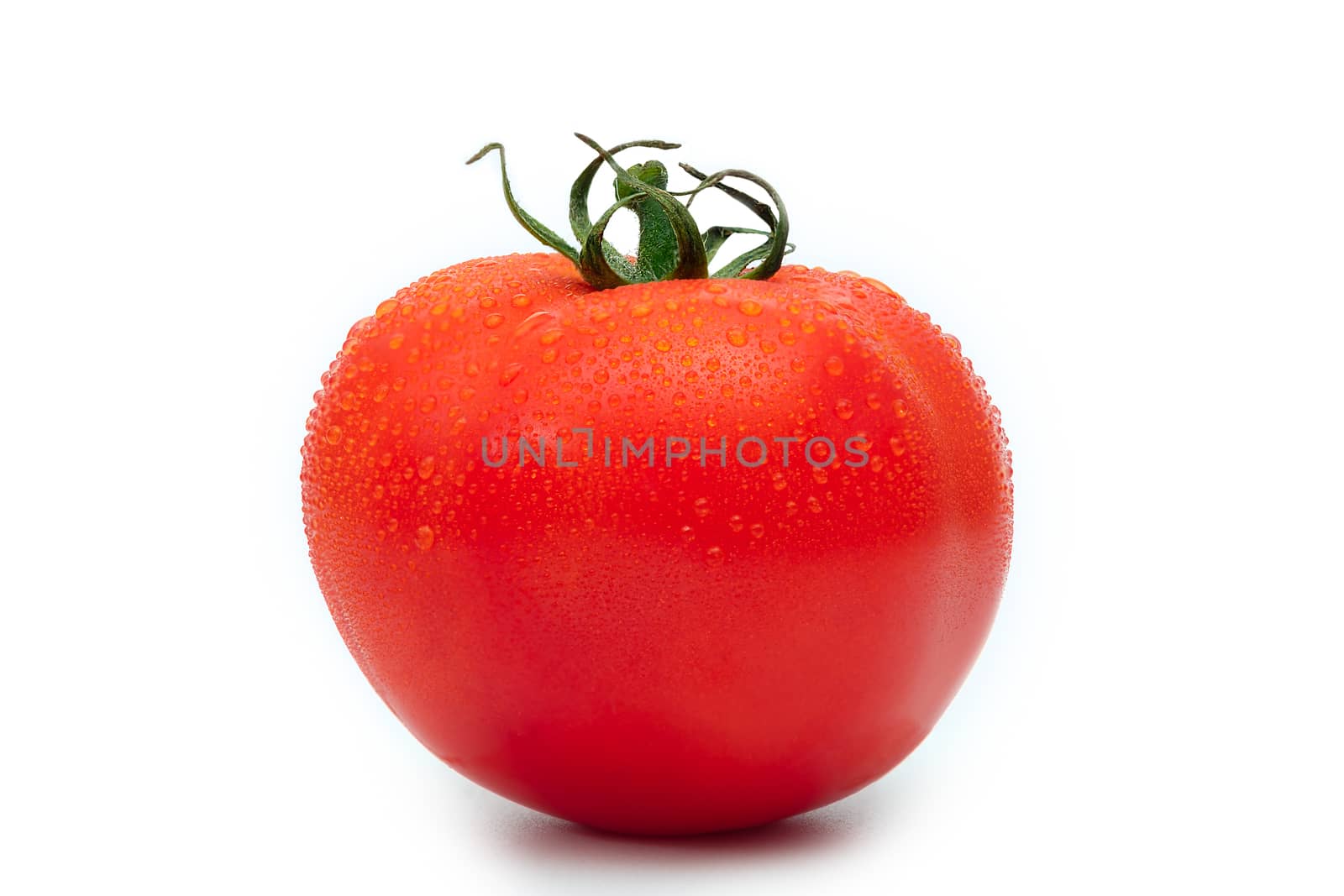 Fresh ripe tomatoes on white background, Good health concept.