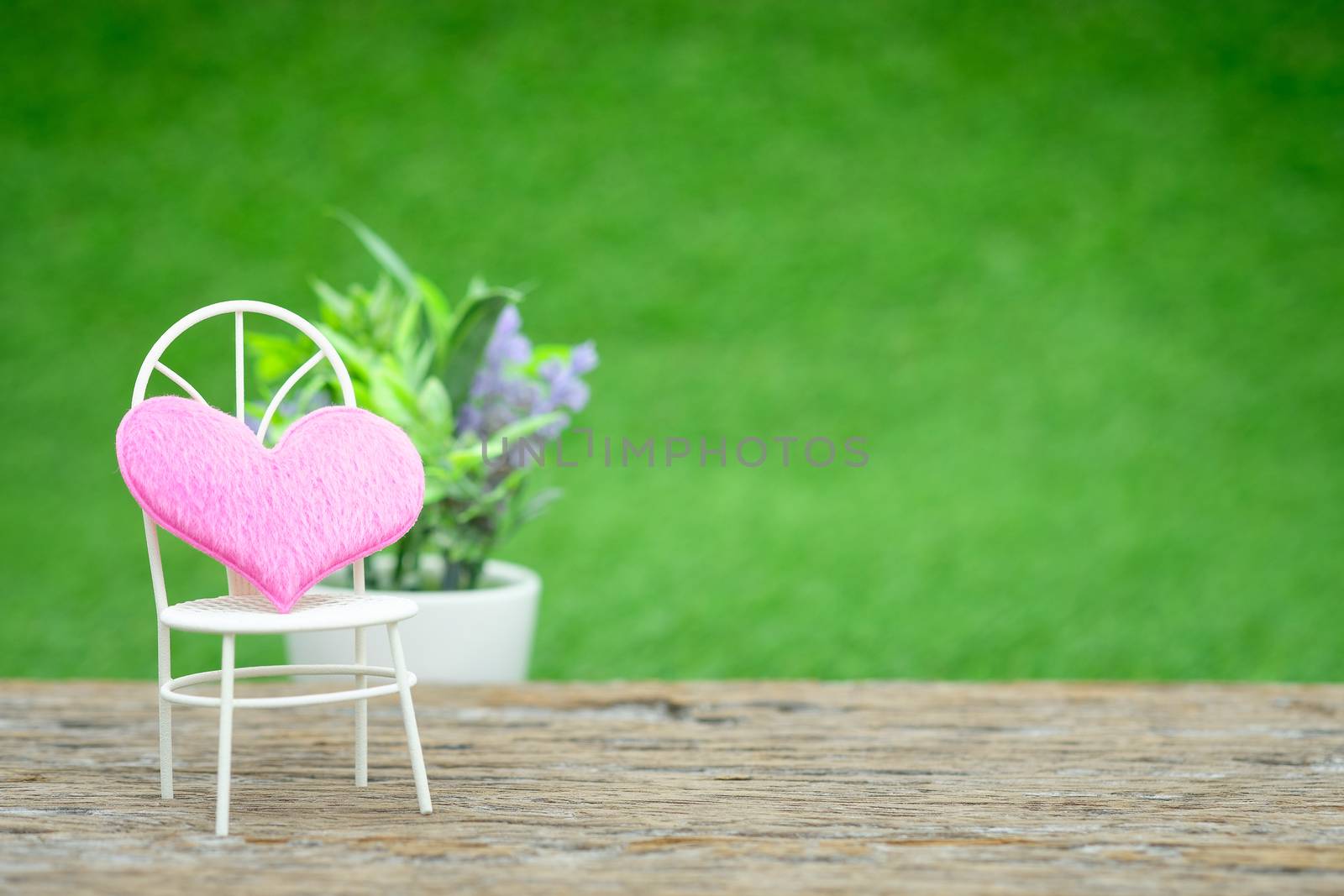 Pot plants and mini shape-heart on a wooden floor in green garden background for valentine day, AF point selection, with space for write.