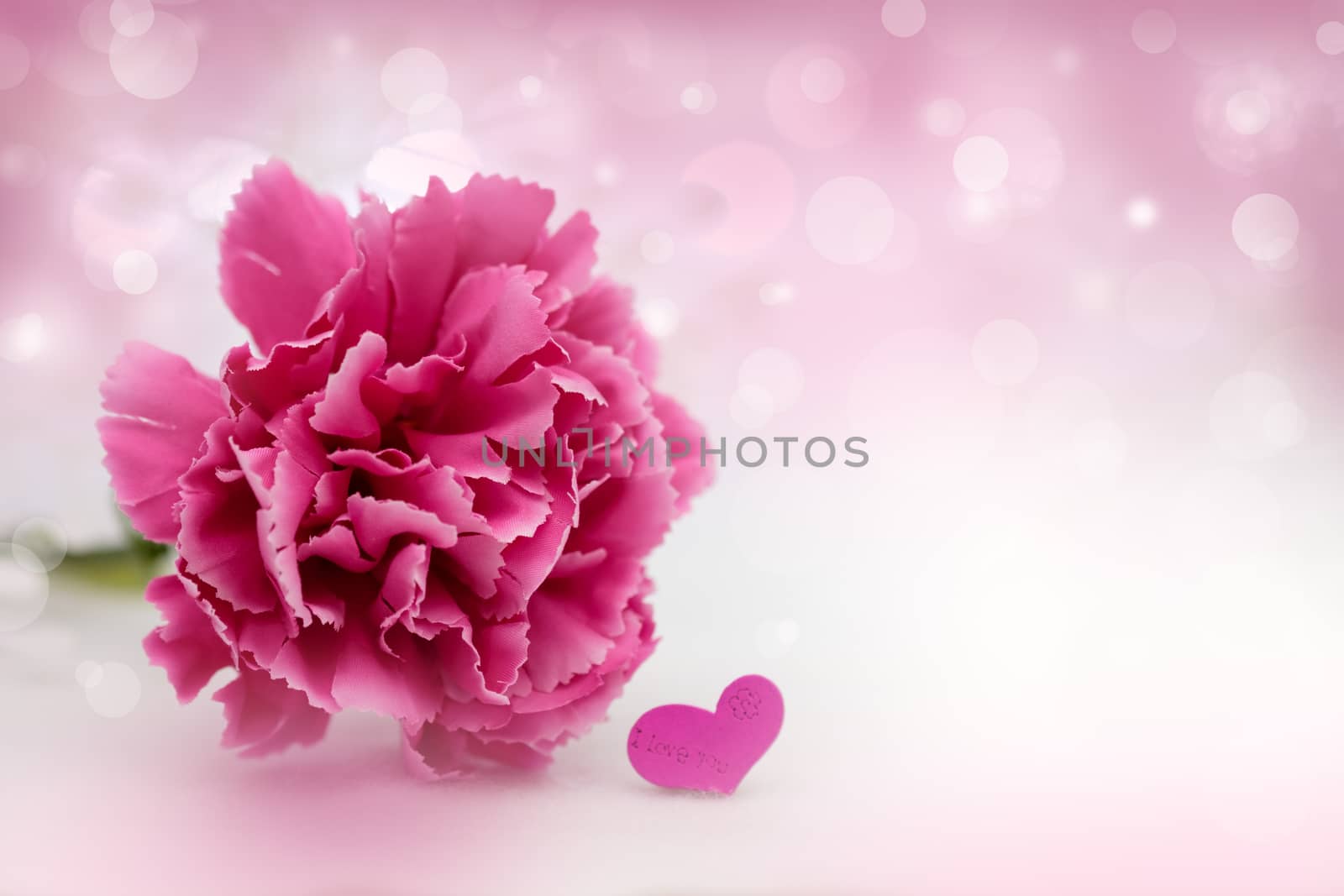 The pink carnation on abstract bokeh background in love concept for valentines day with romantic moment.