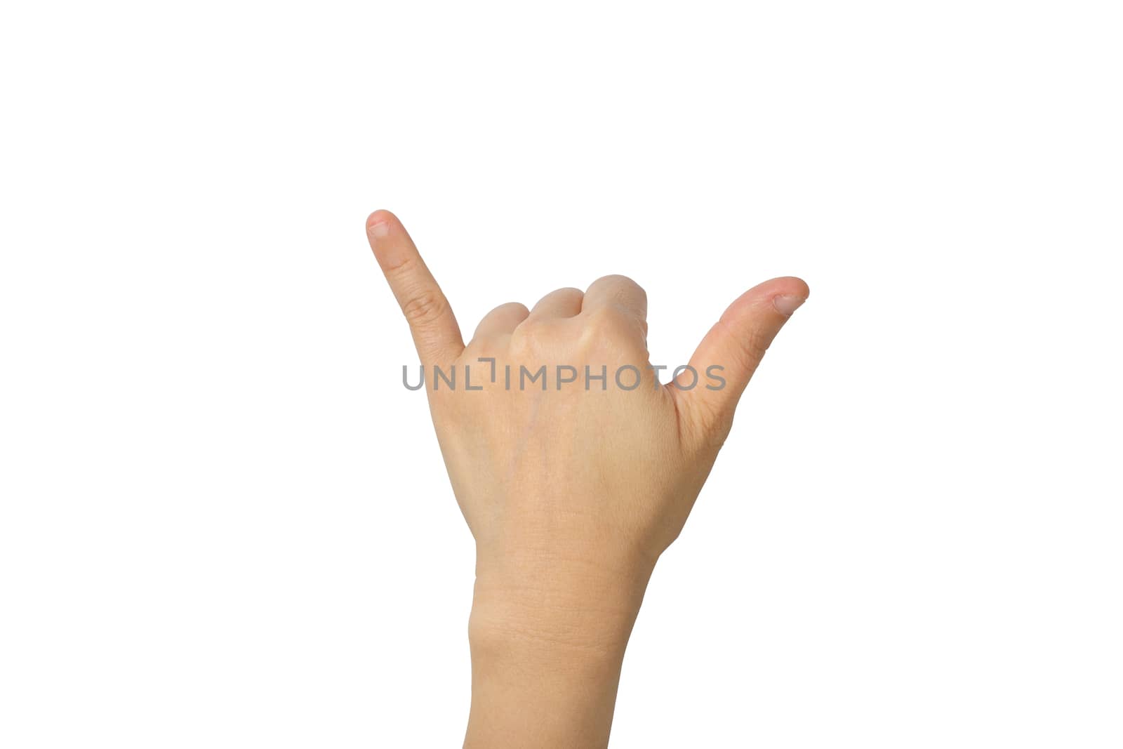 Hands like Buffalo isolated on white background with clipping path
