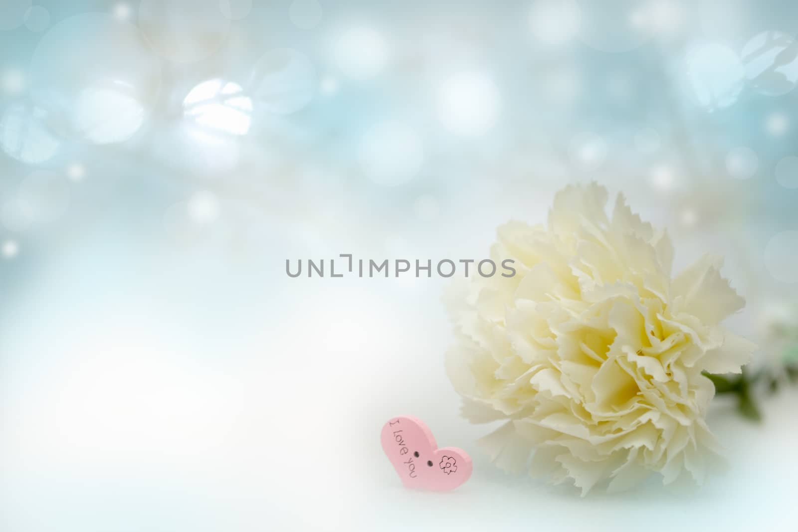 The white flower on abstract bokeh background in love concept for valentines day with romantic moment.