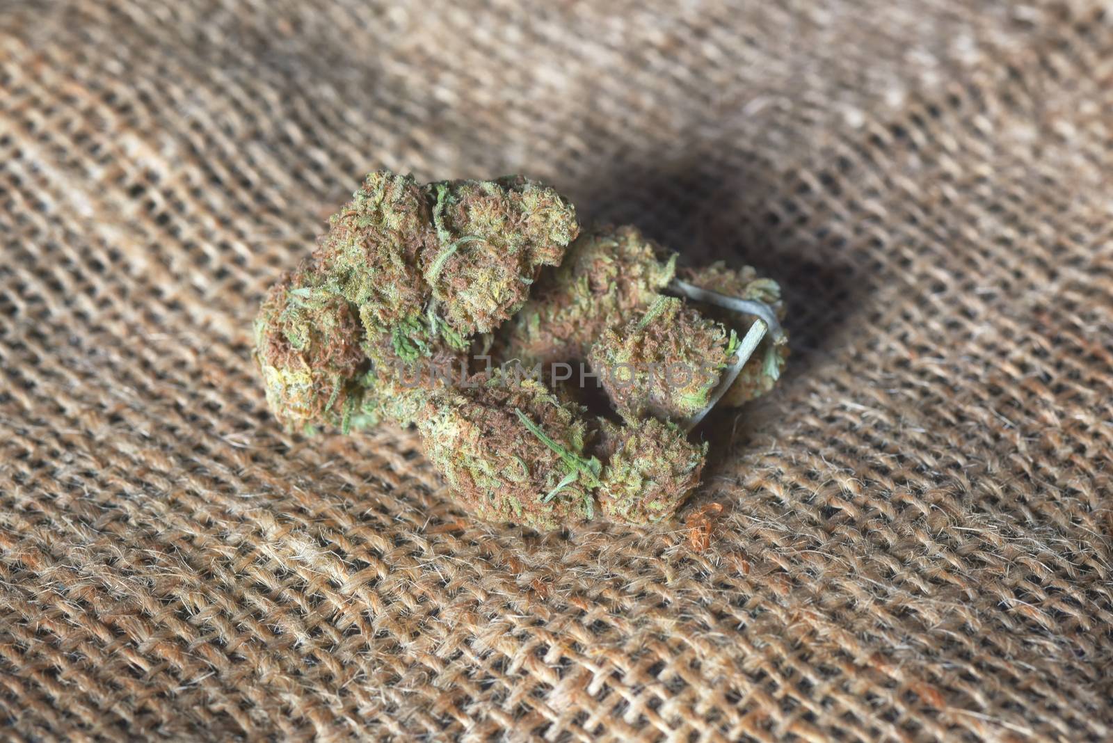 hashish, cannabis, hemp Medical. Close Up Marijuana Buds With Doctors Prescription For Weed. Medicinal Pot With green ganja plant. High THC and CBD. on Hemp sack background. Selective Focus.