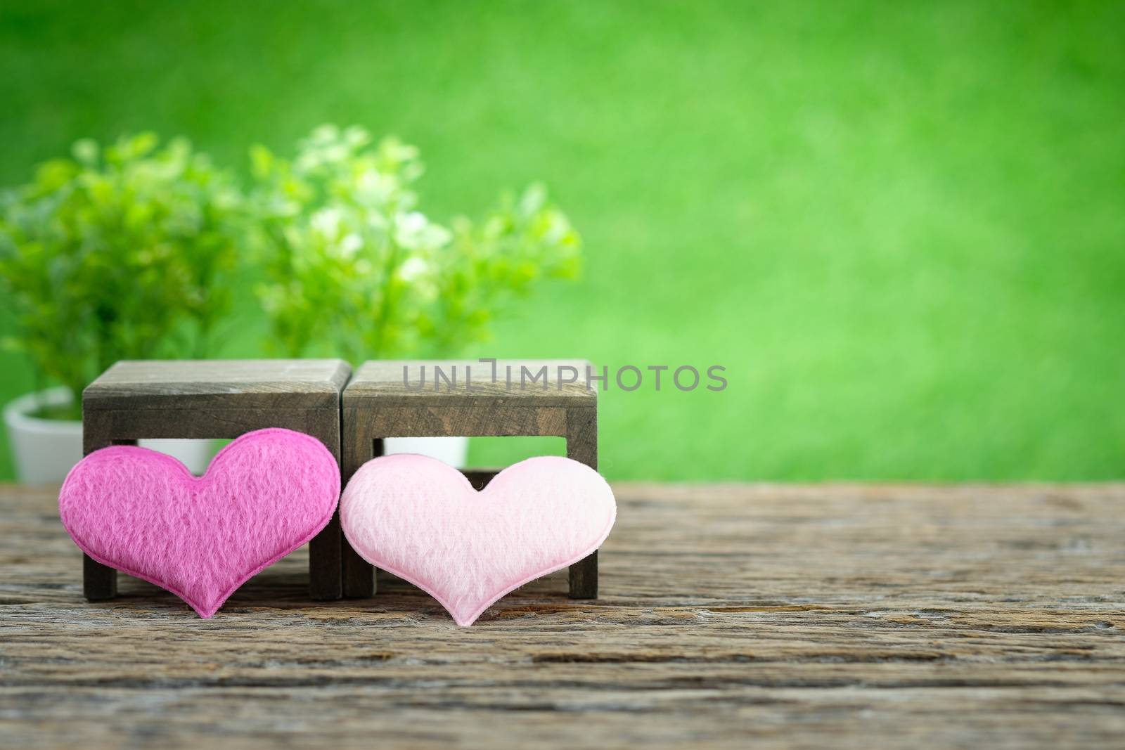 Pot plants and mini shape-heart on a wooden floor in green garden background for valentine day, AF point selection, with space for write.
