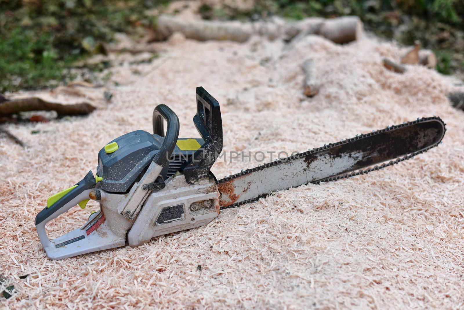 Chainsaw on shavings. cut​​ tree​ processing. Wood process by C_Aphirak