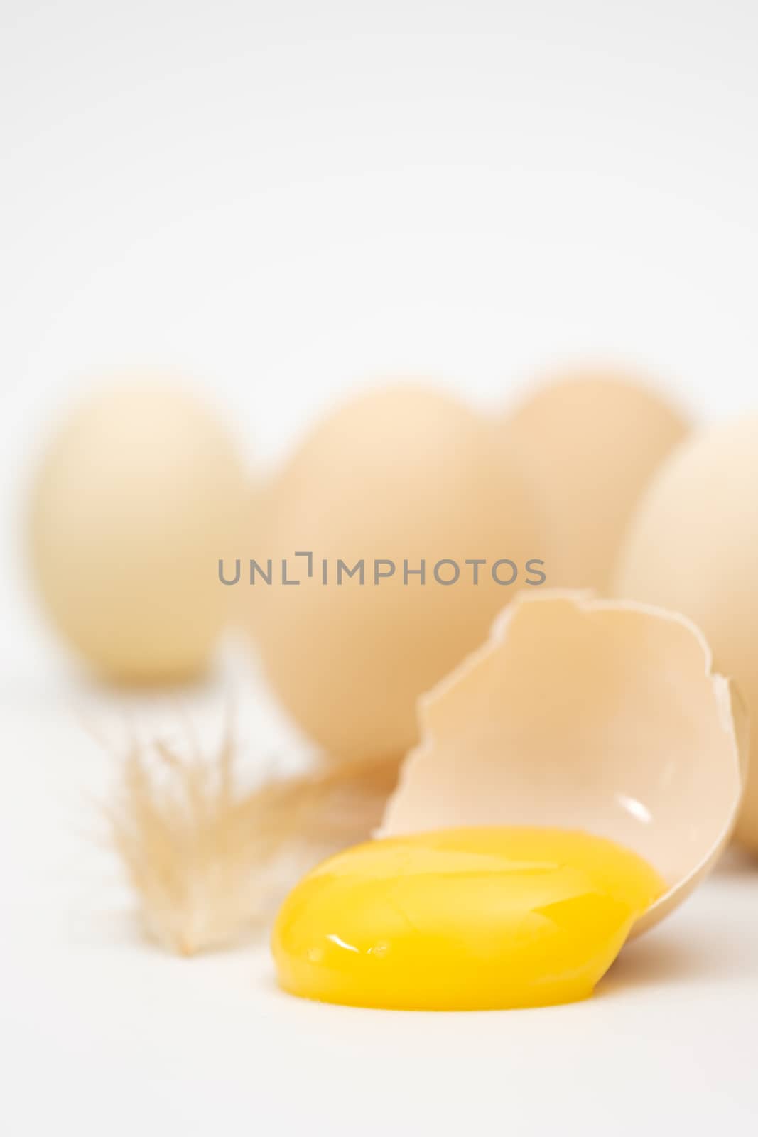 Eggs and yolks arranged in a white scene, Egg is beneficial to the body, Food concept.
