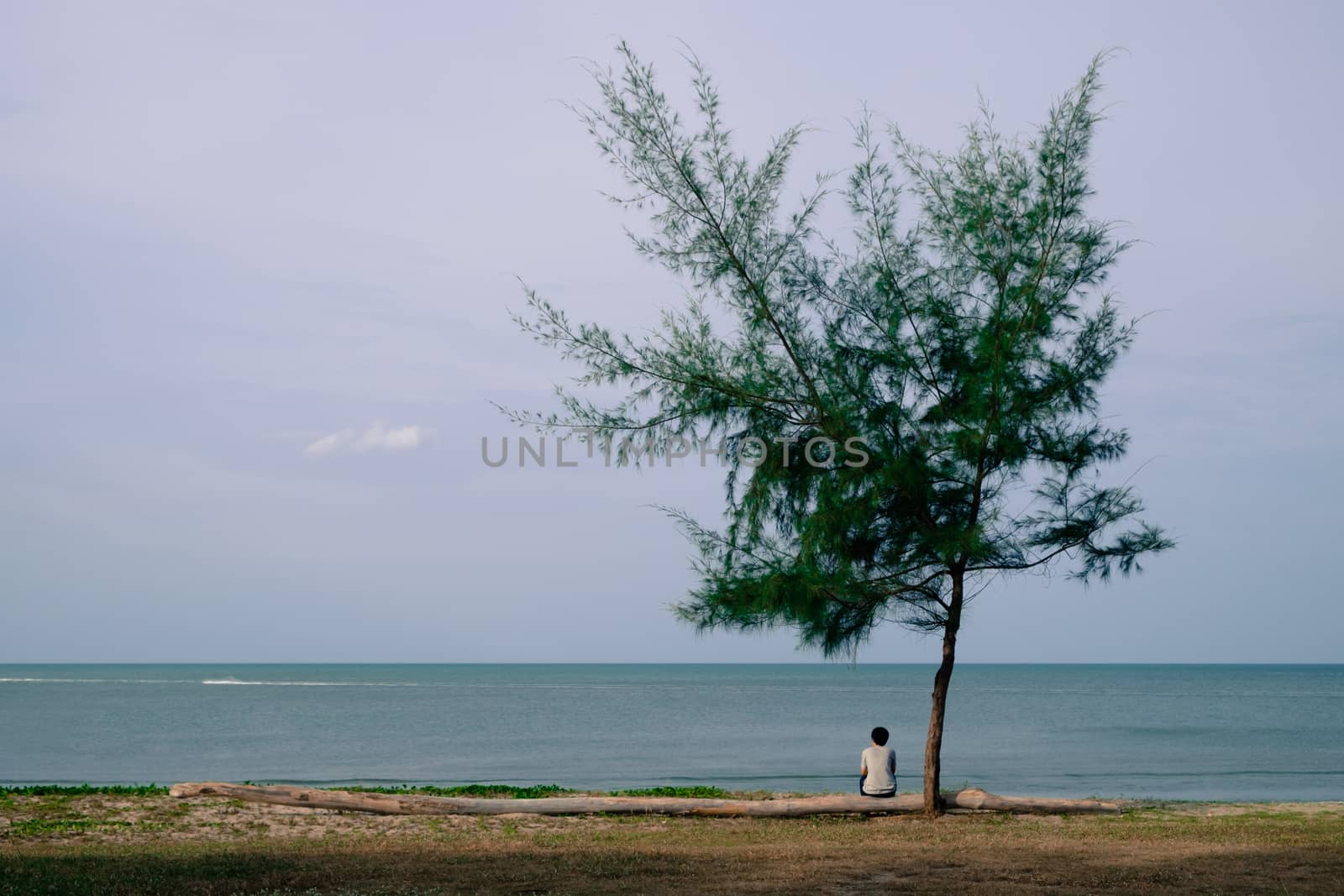 Woman sitting alone lonely under the tree by the sea, with copy space.