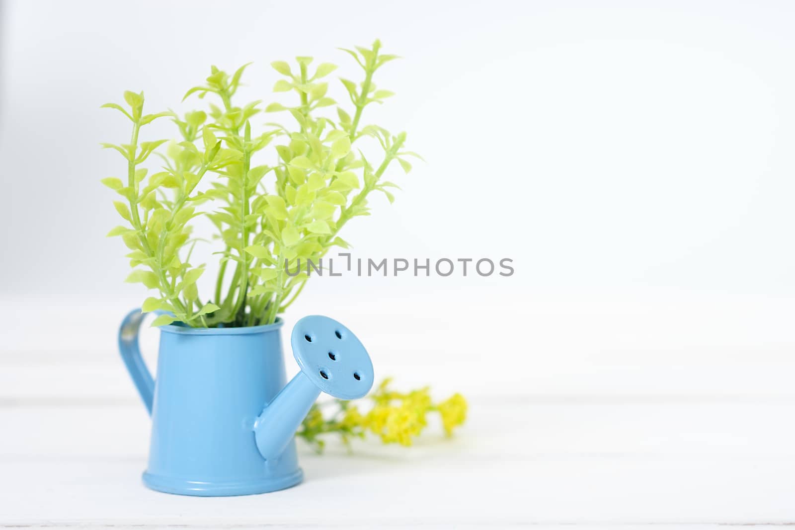 flowers in watering pot on the white wooden background.