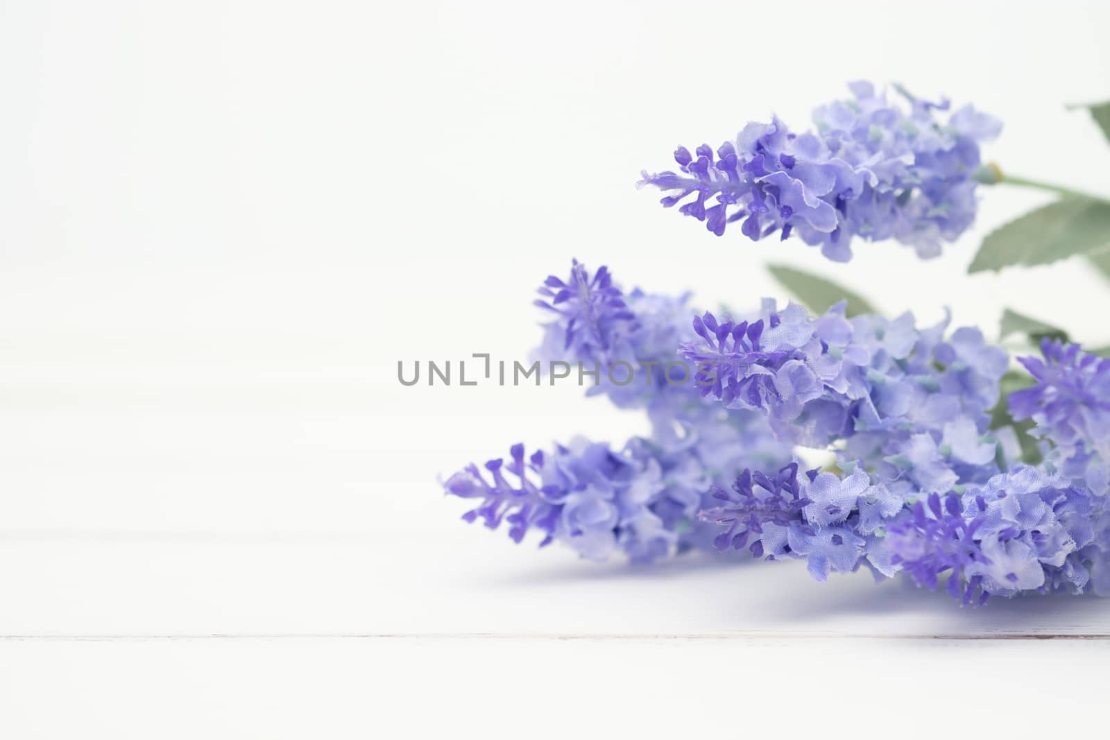 Lavender flowers on white wood table background