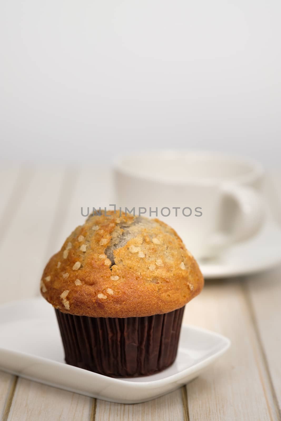 Blueberries muffins on white background, copy space to write. Vertical picture.