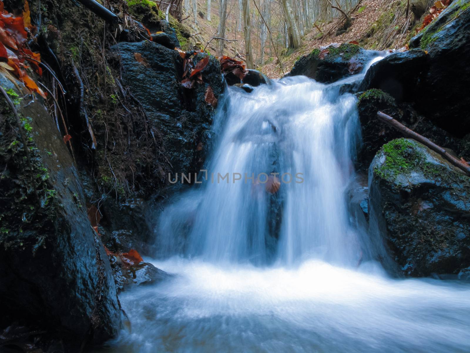 Small Waterfall in deep forest by Roberto