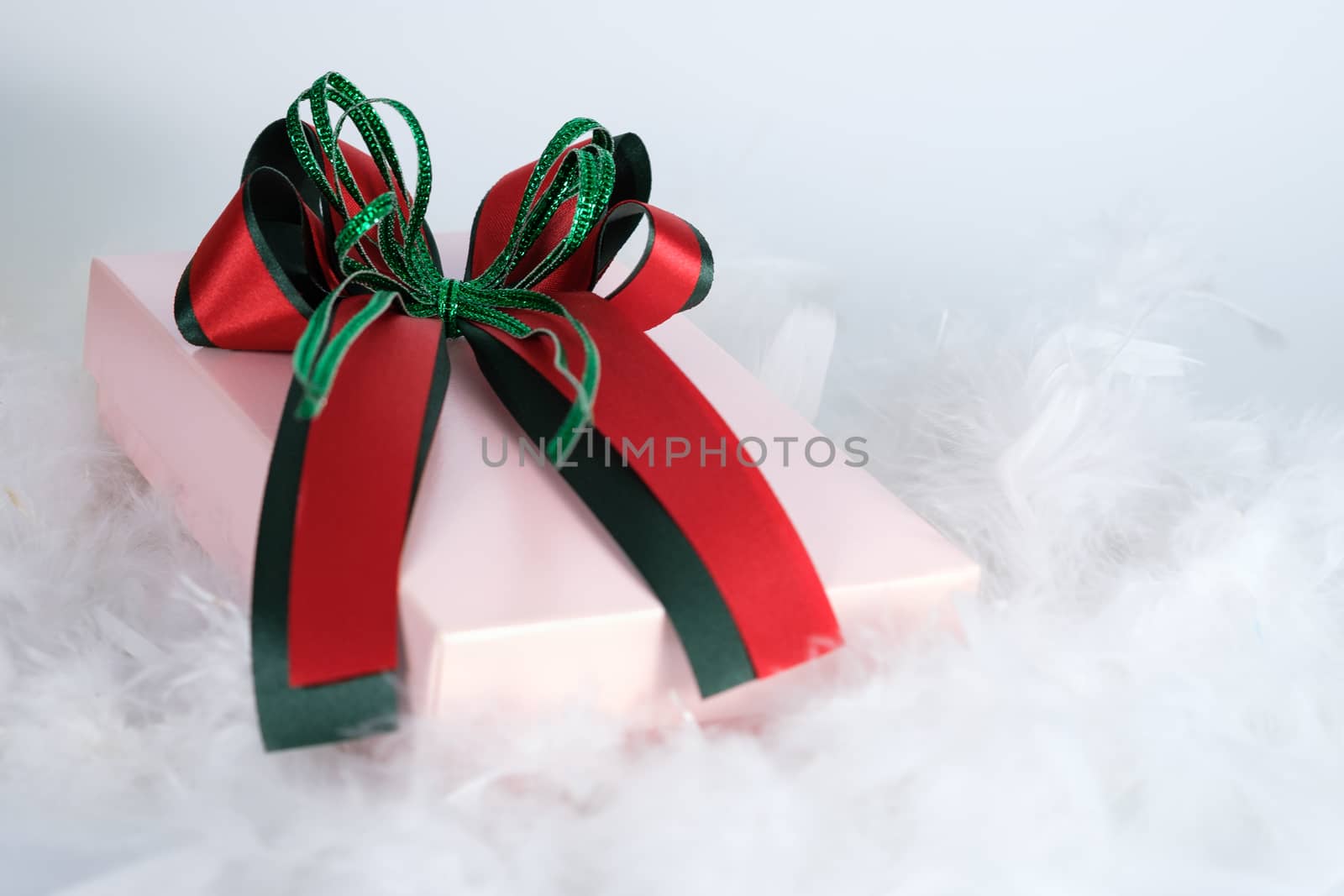 Gift box on white feather, Open space for write, AF point and blur selection.