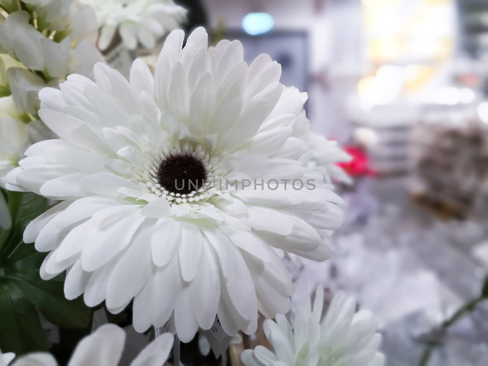Artificial daisy flower in small bouquet.