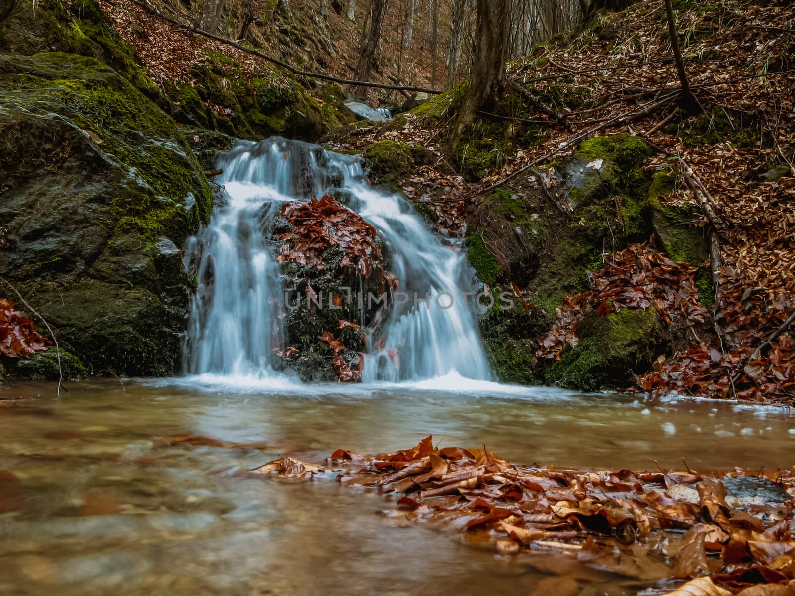 Small Waterfall in deep forest by Roberto