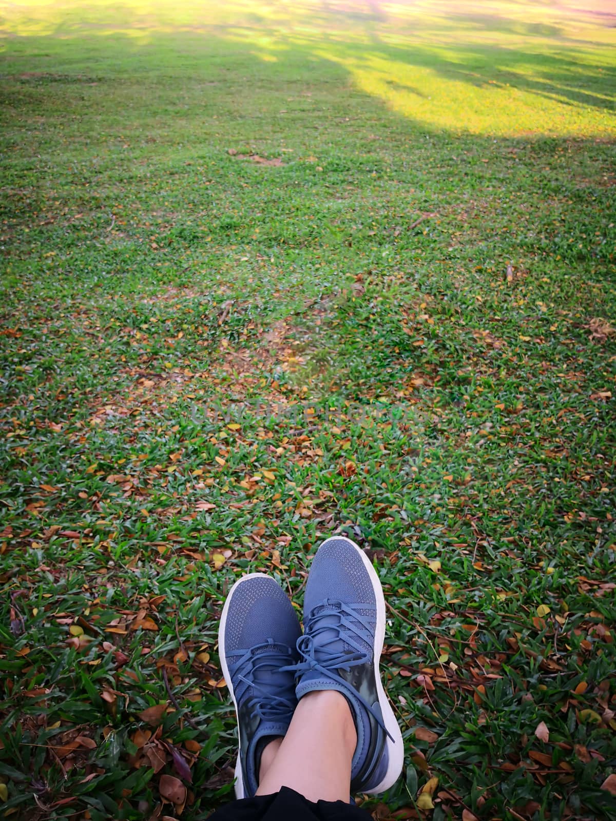 Woman's legs in grey shoes sit on dry leaves in the park.